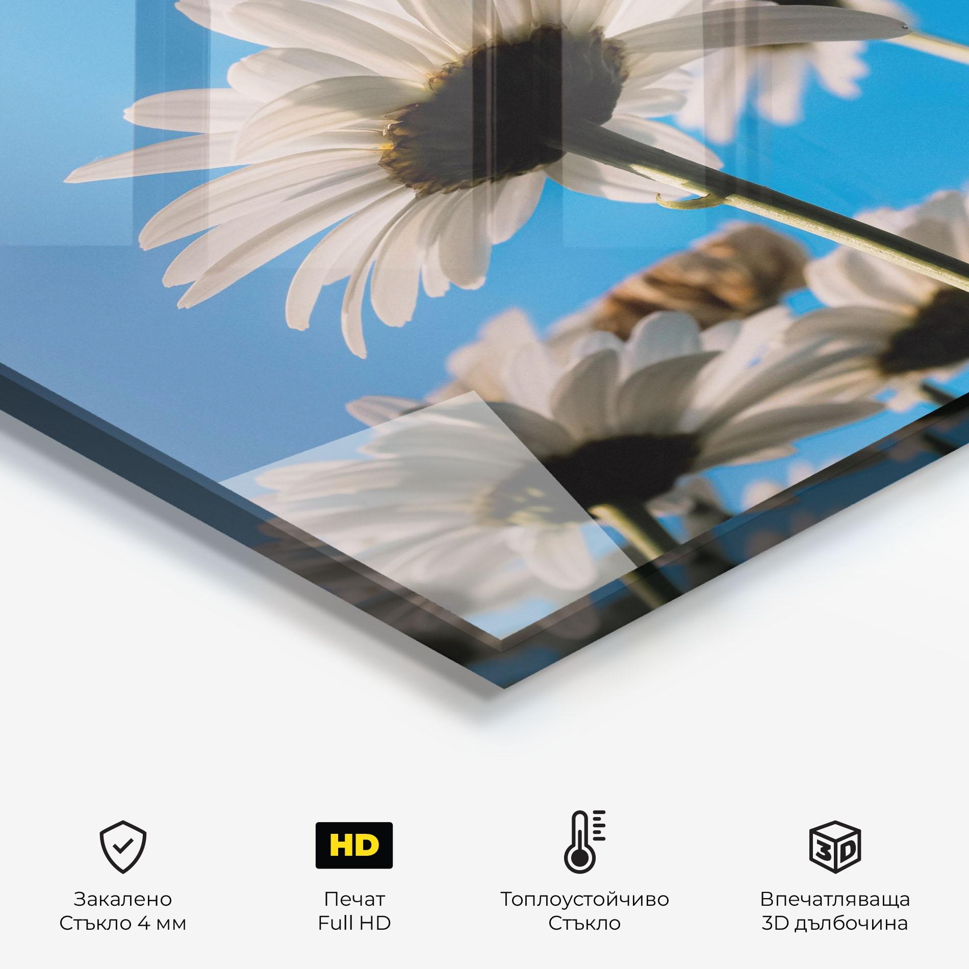 Стъклен панел за кухня Blue Sky Daisy mockup 2