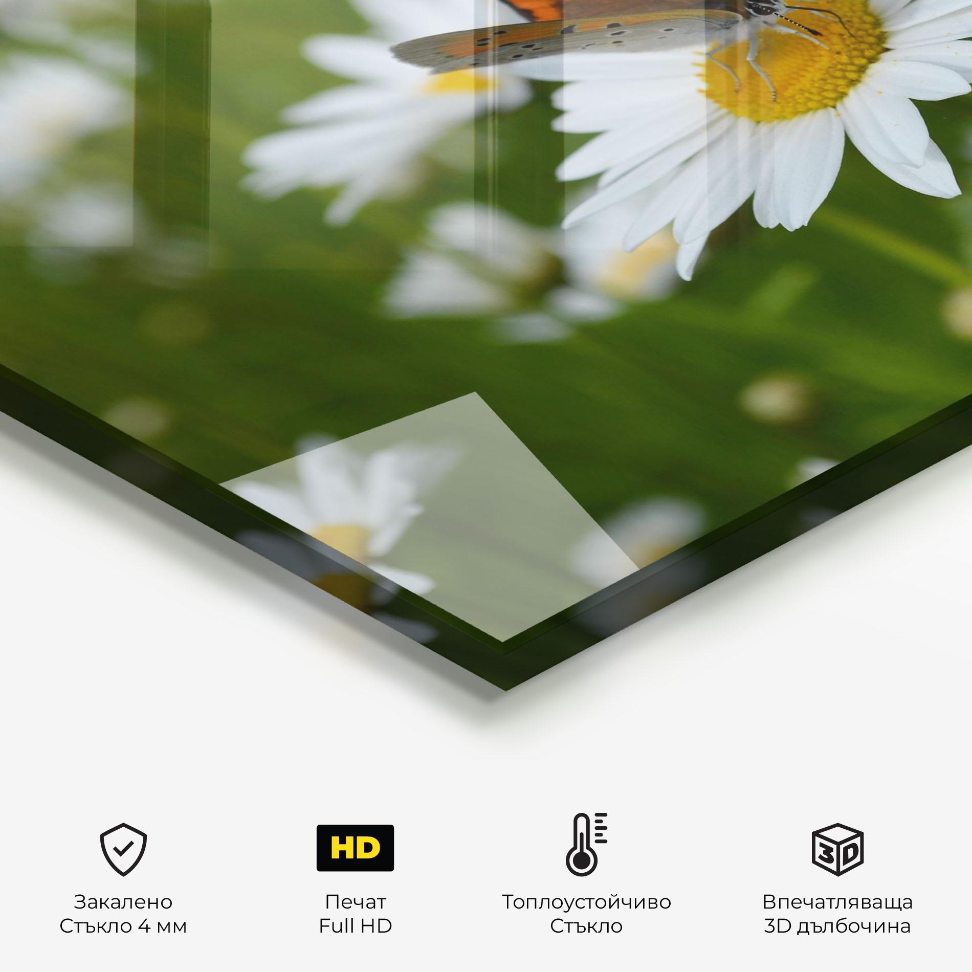 Стъклен панел за кухня Butterfly On Daisy mockup 2