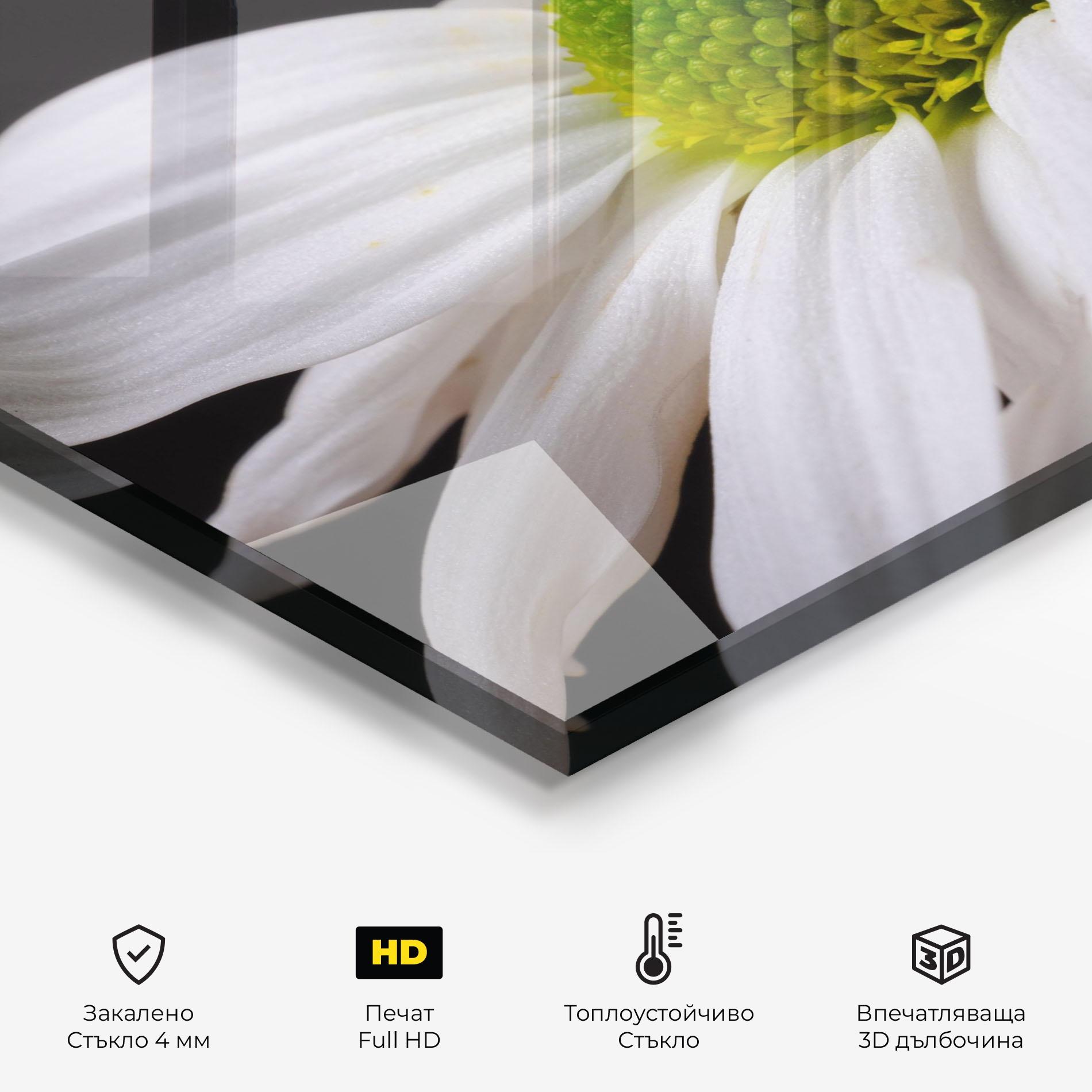 Стъклен панел за кухня Green Middle Daisy mockup 2