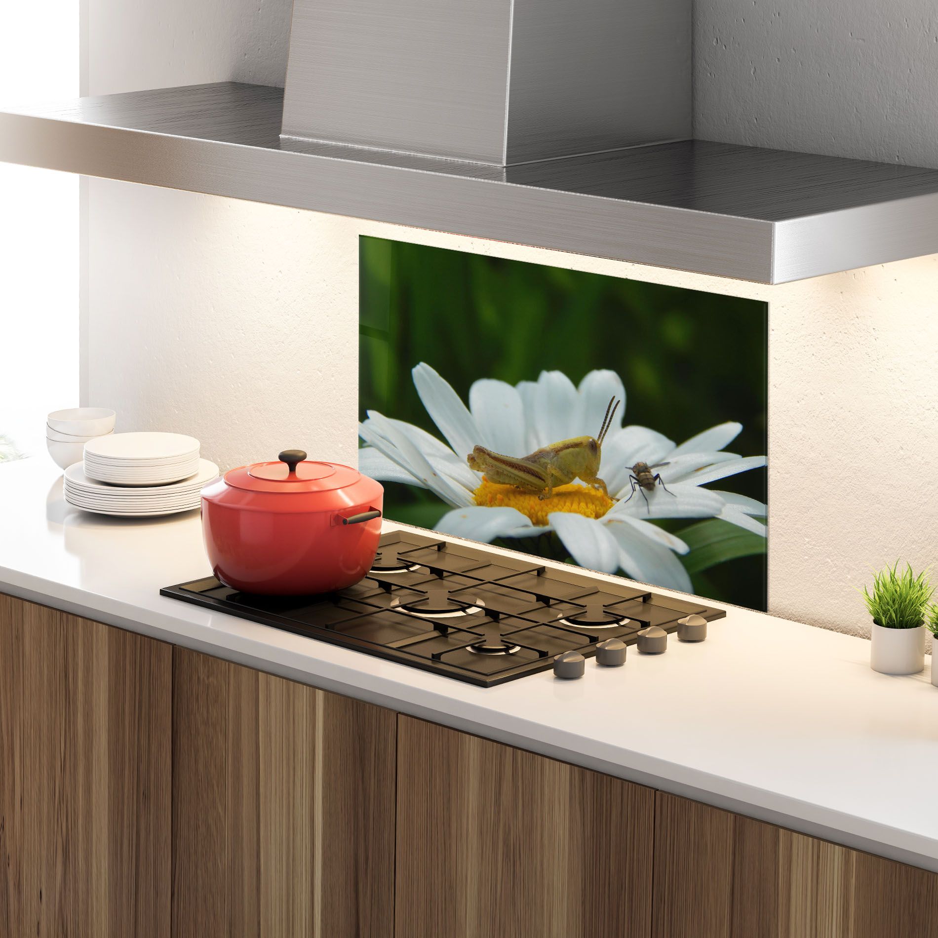 Cricket On Daisy mockup 4