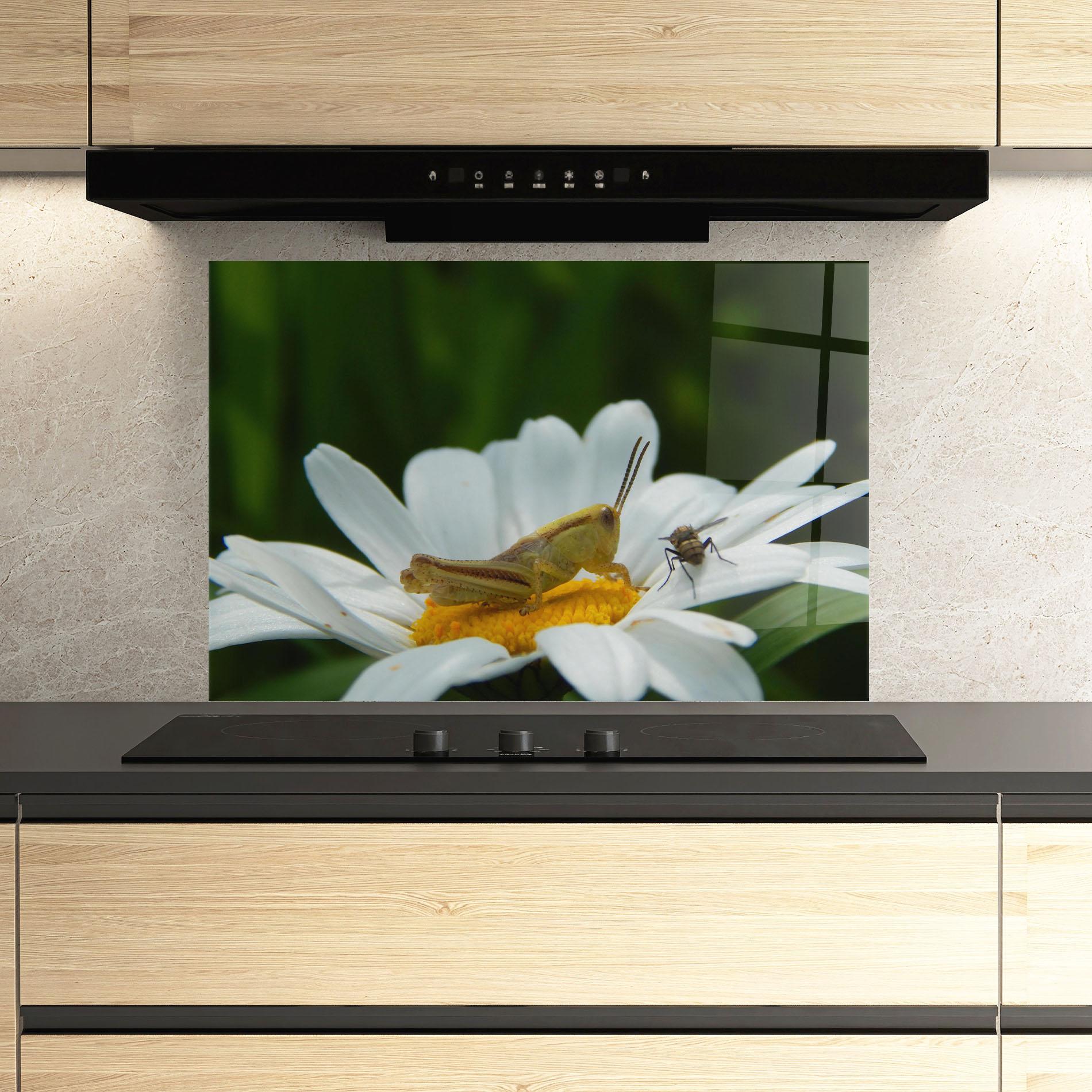 Стъклен панел за кухня Cricket On Daisy mockup 3