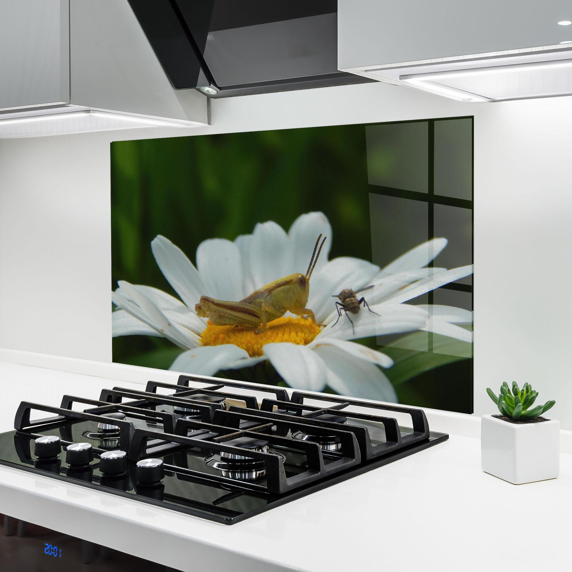Стъклен панел за кухня Cricket On Daisy mockup 6