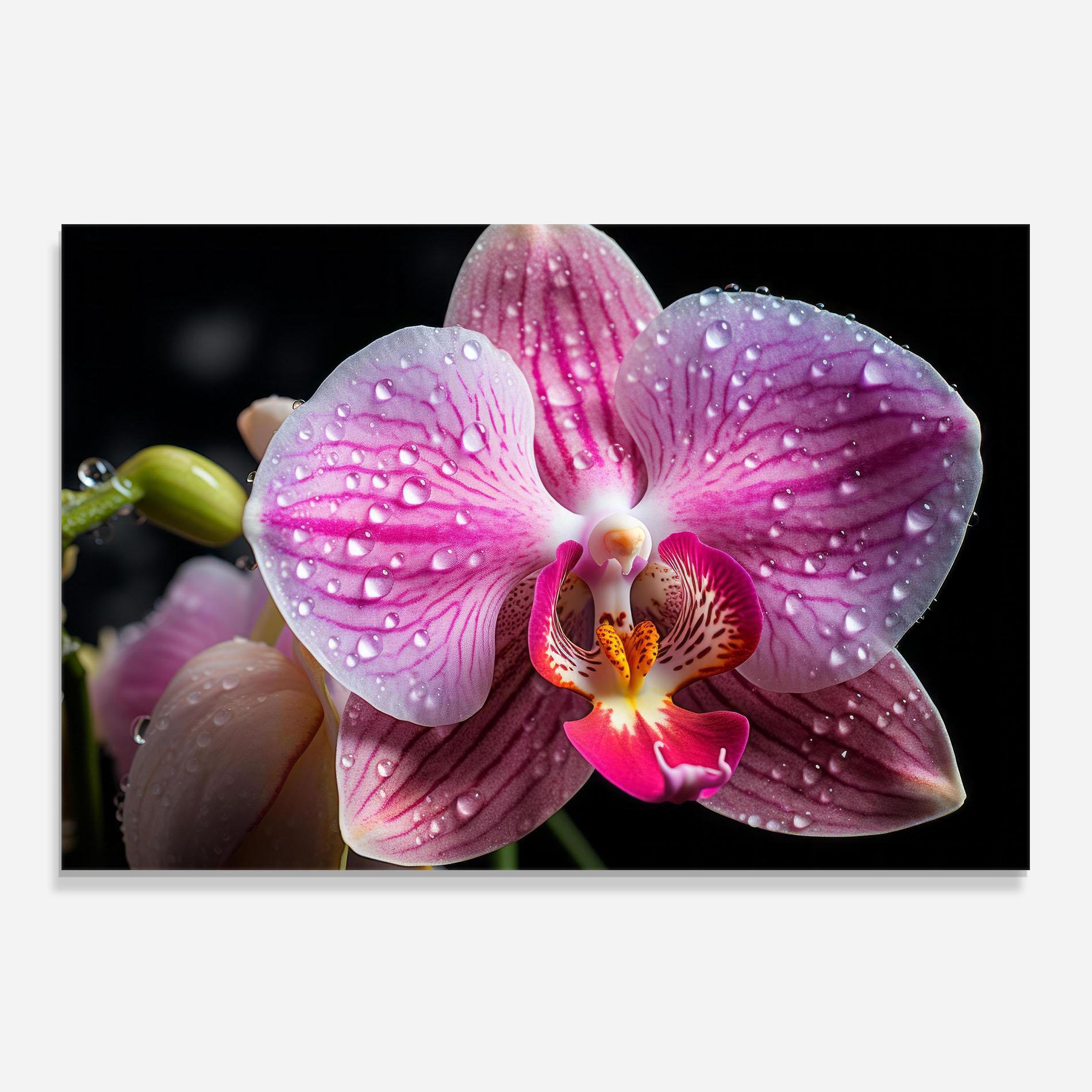 Стъклен панел за кухня Pretty Orchid After Rain mockup 0