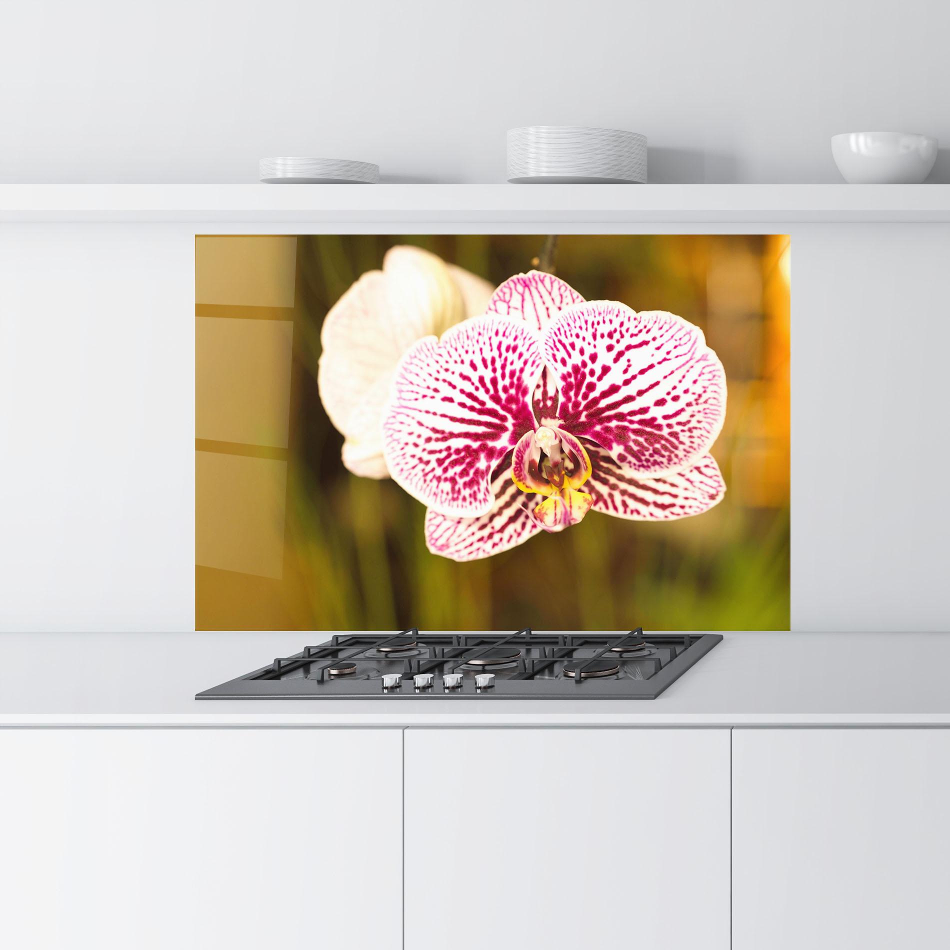 Стъклен панел за кухня Garden Orchids mockup 9