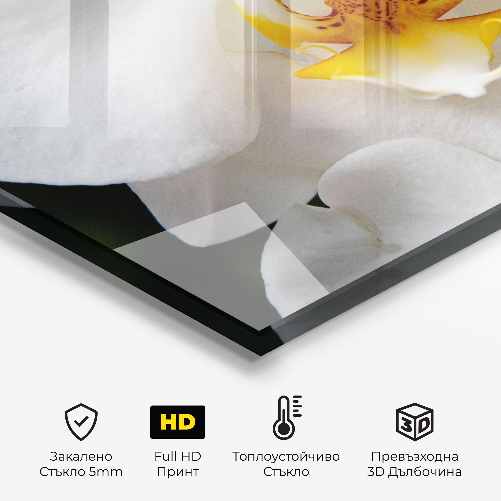 Big Orchid Close Up mockup 2