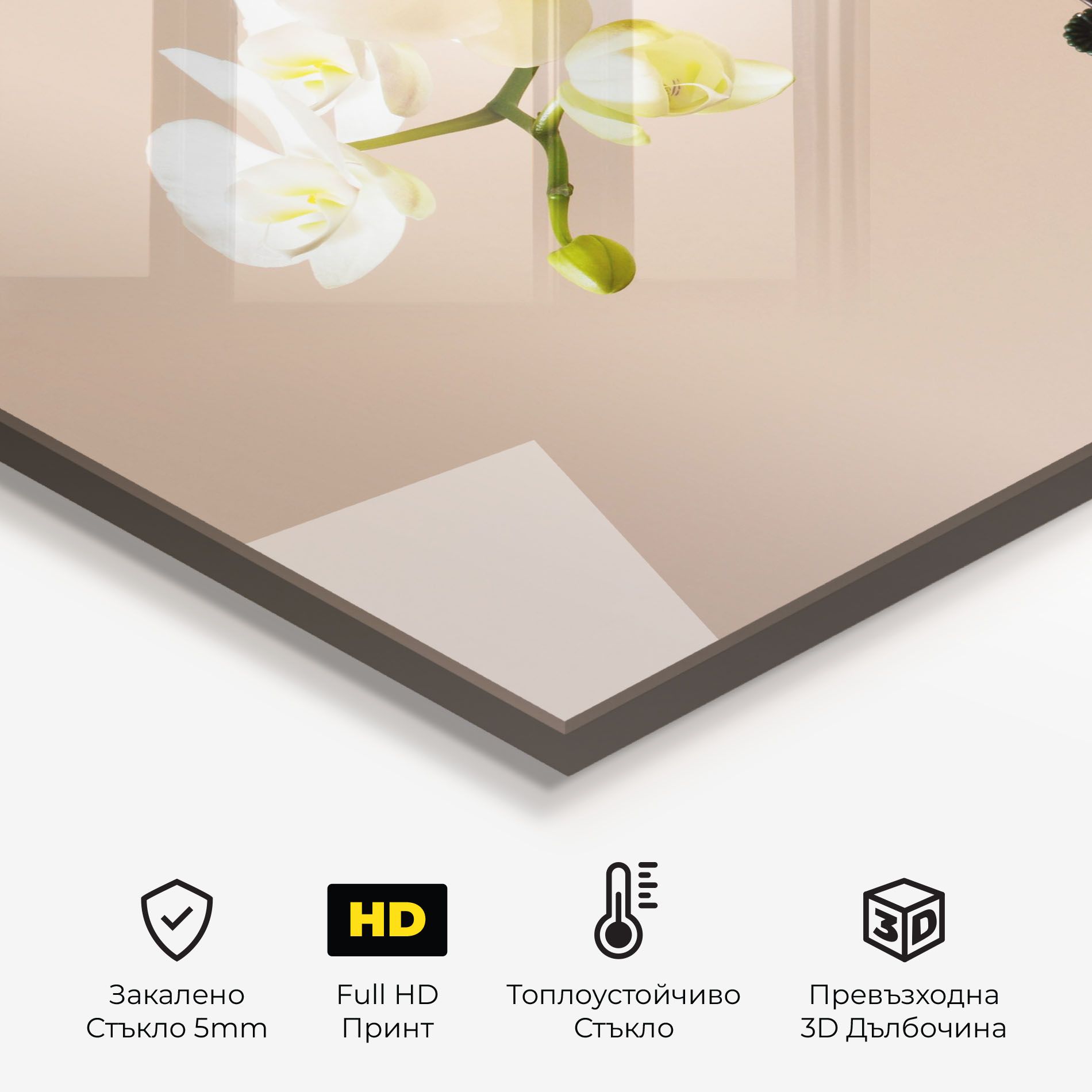 Cream Orchid On Pink mockup 2