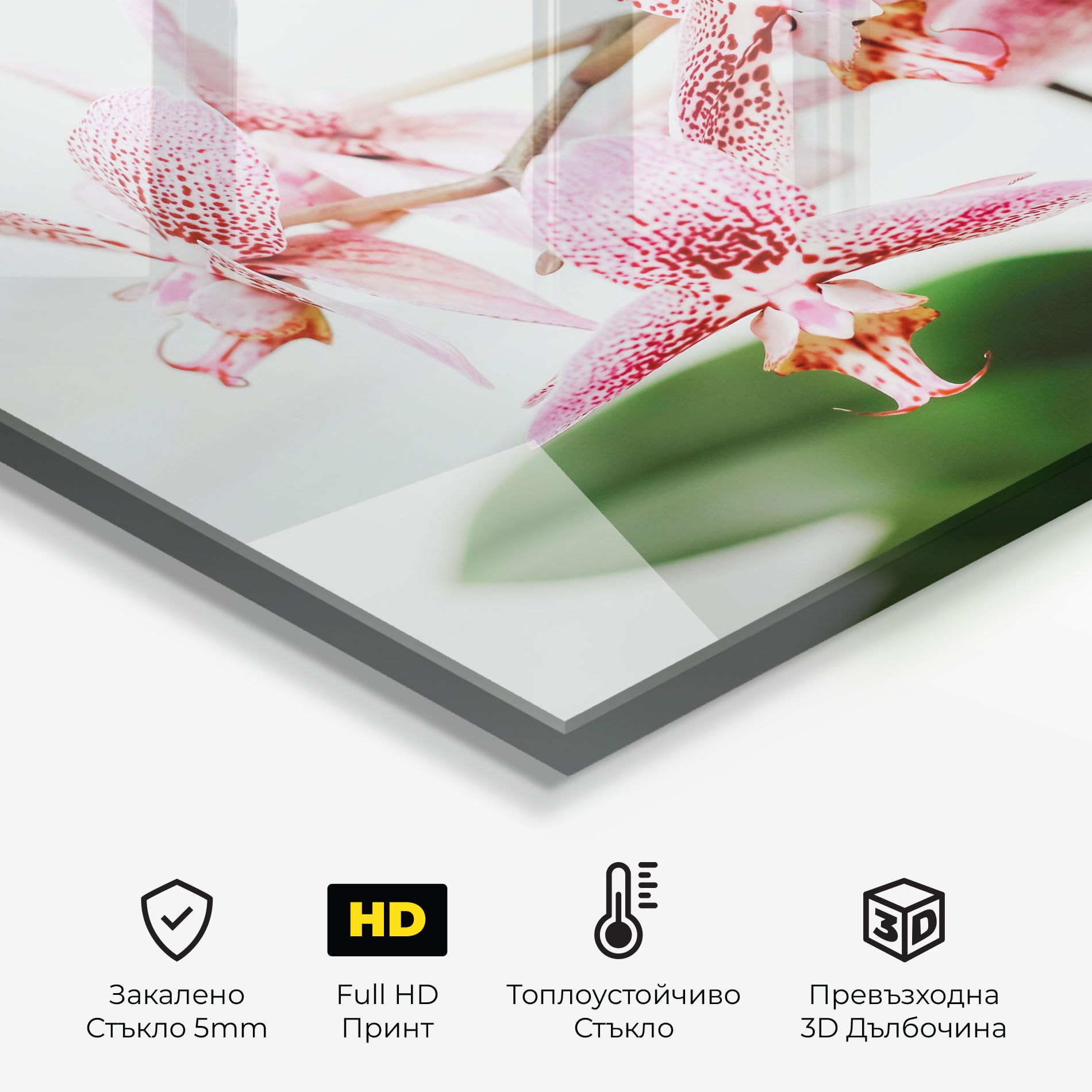Green Orchids mockup 2