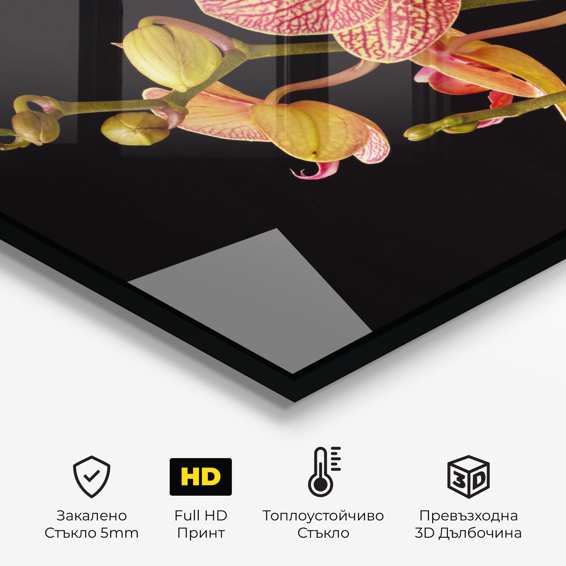 Pink Orchids On Black mockup 2