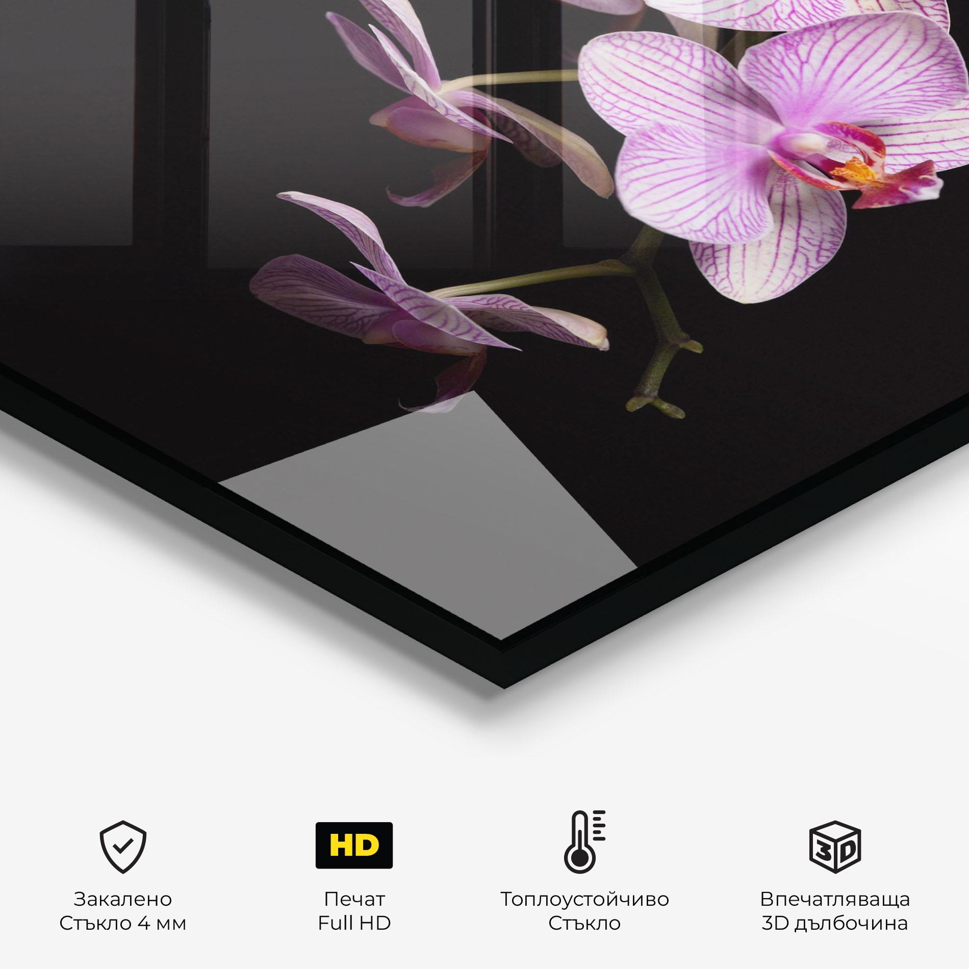 Стъклен панел за кухня Beautiful Orchids On Black mockup 2