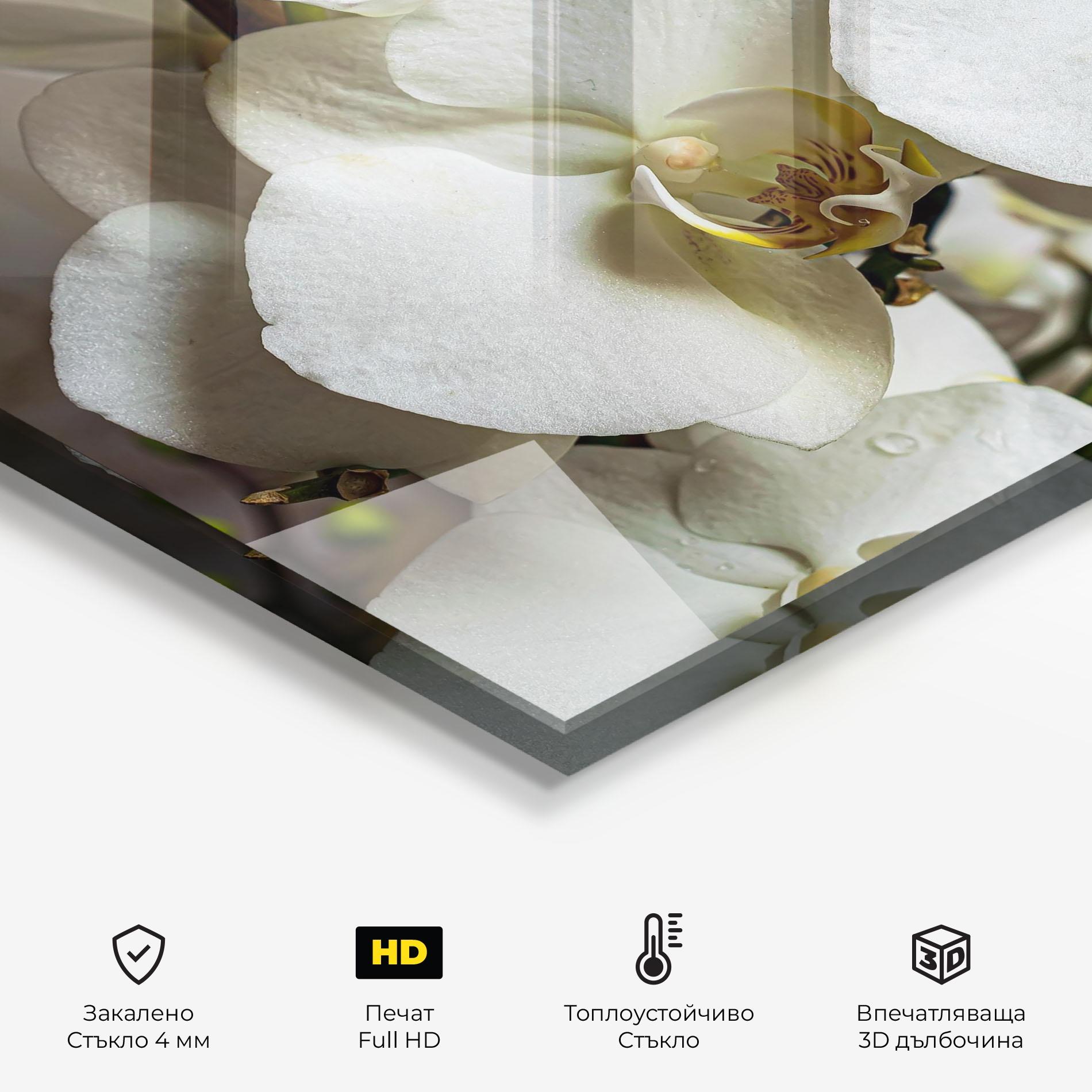Стъклен панел за кухня Beautiful White Orchids mockup 2