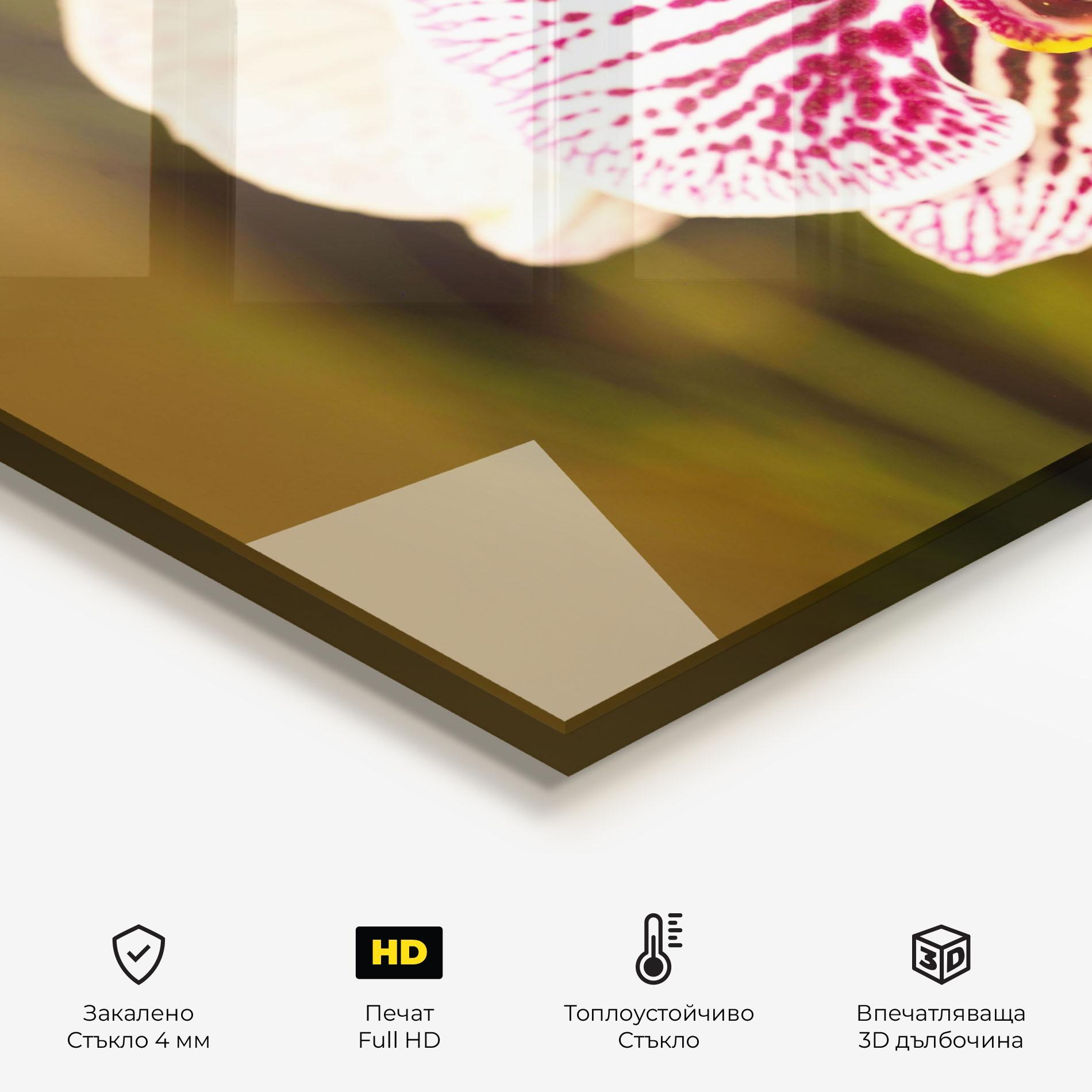 Стъклен панел за кухня Garden Orchids mockup 2