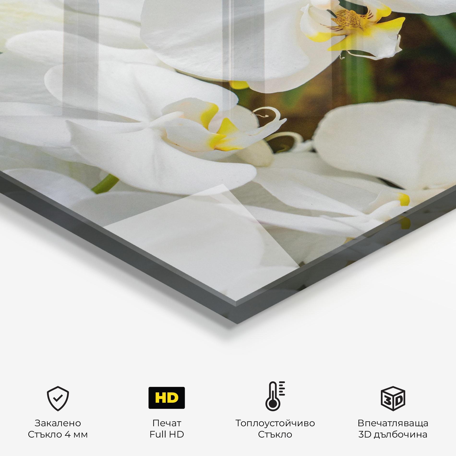 Стъклен панел за кухня Orchids In Nature mockup 2