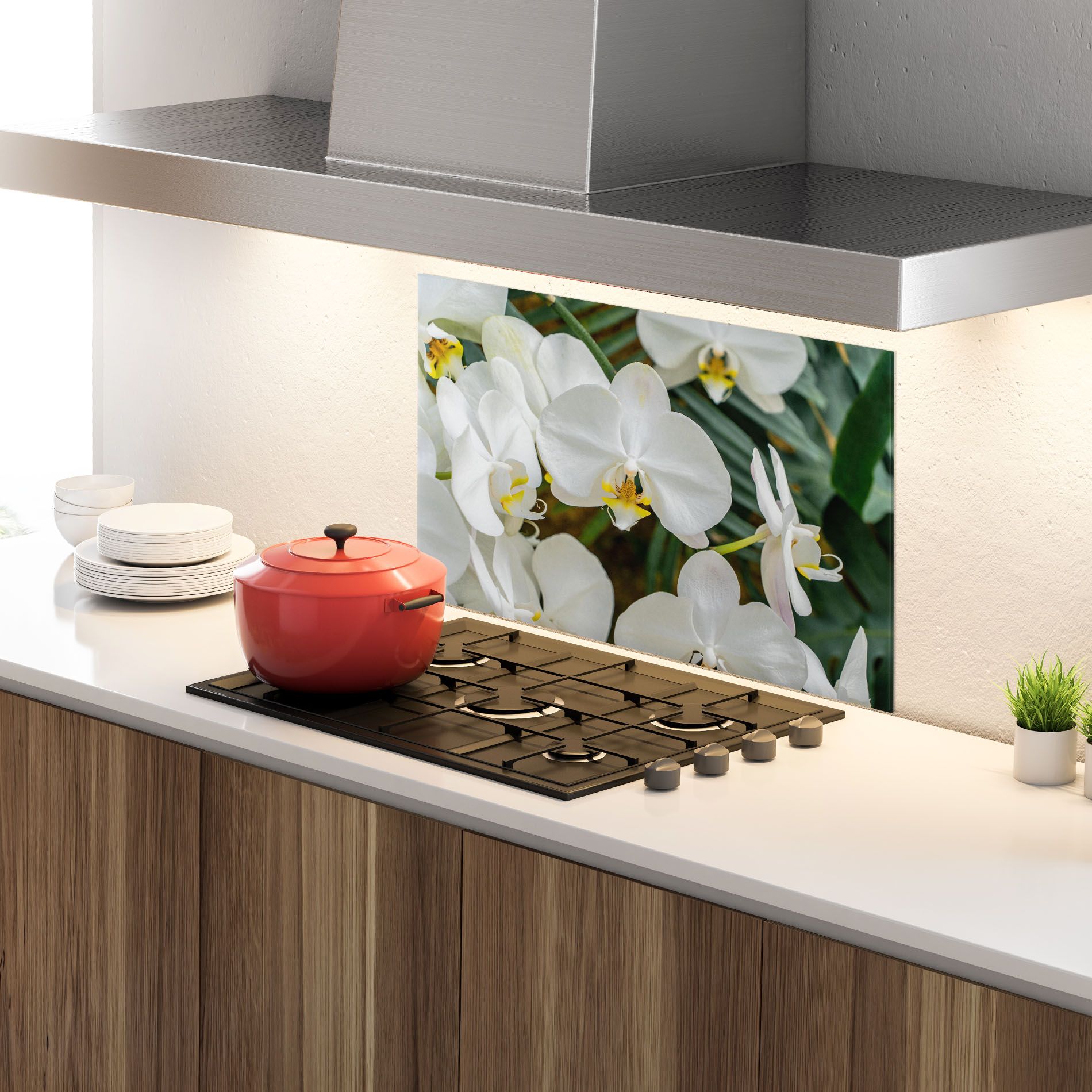 Orchids In Nature mockup 4