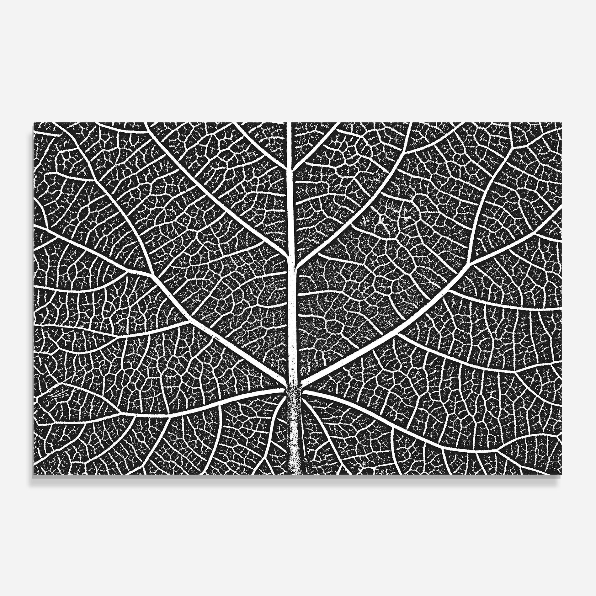 Close Grey Leaf mockup 0