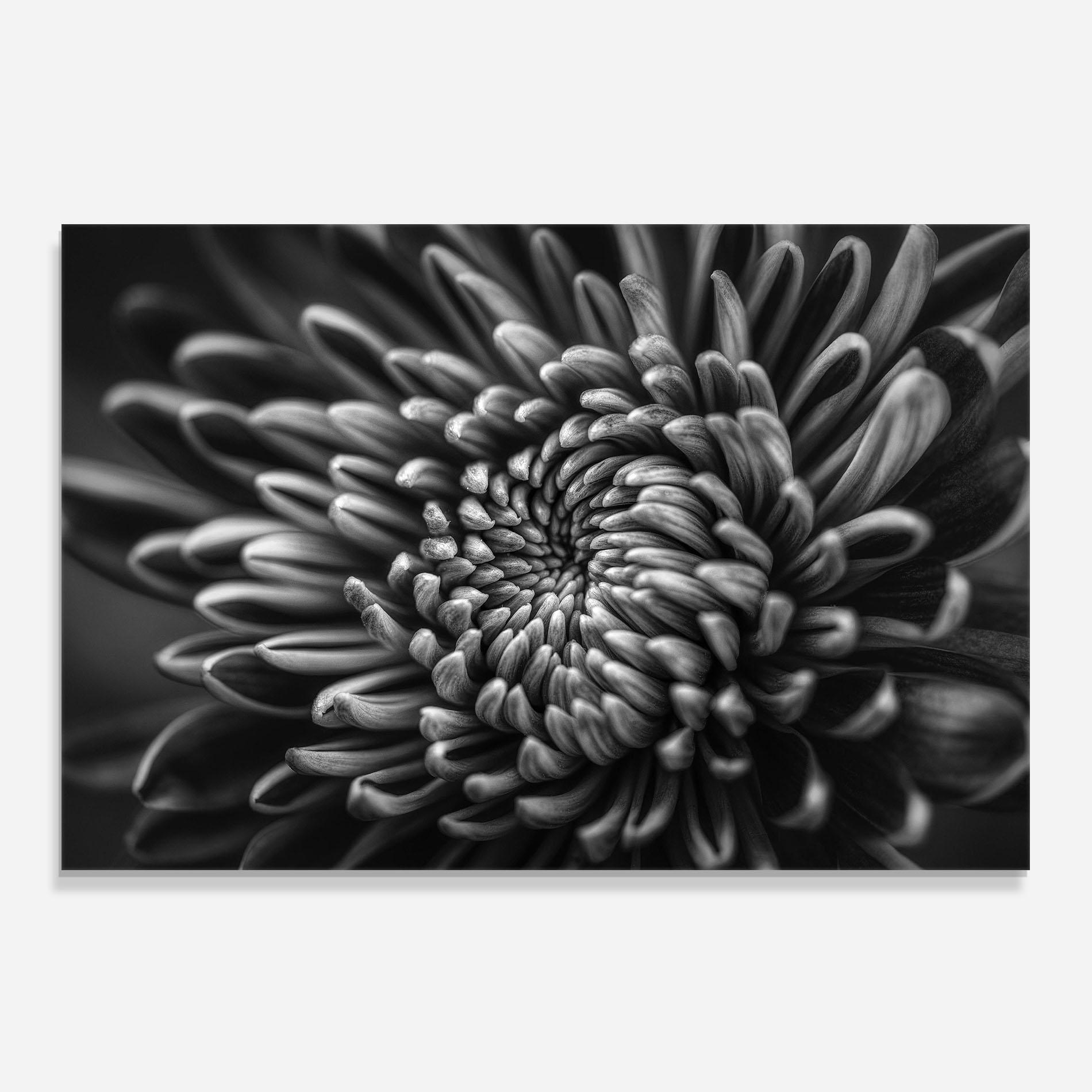 Стъклен панел за кухня Grey Flower mockup 0