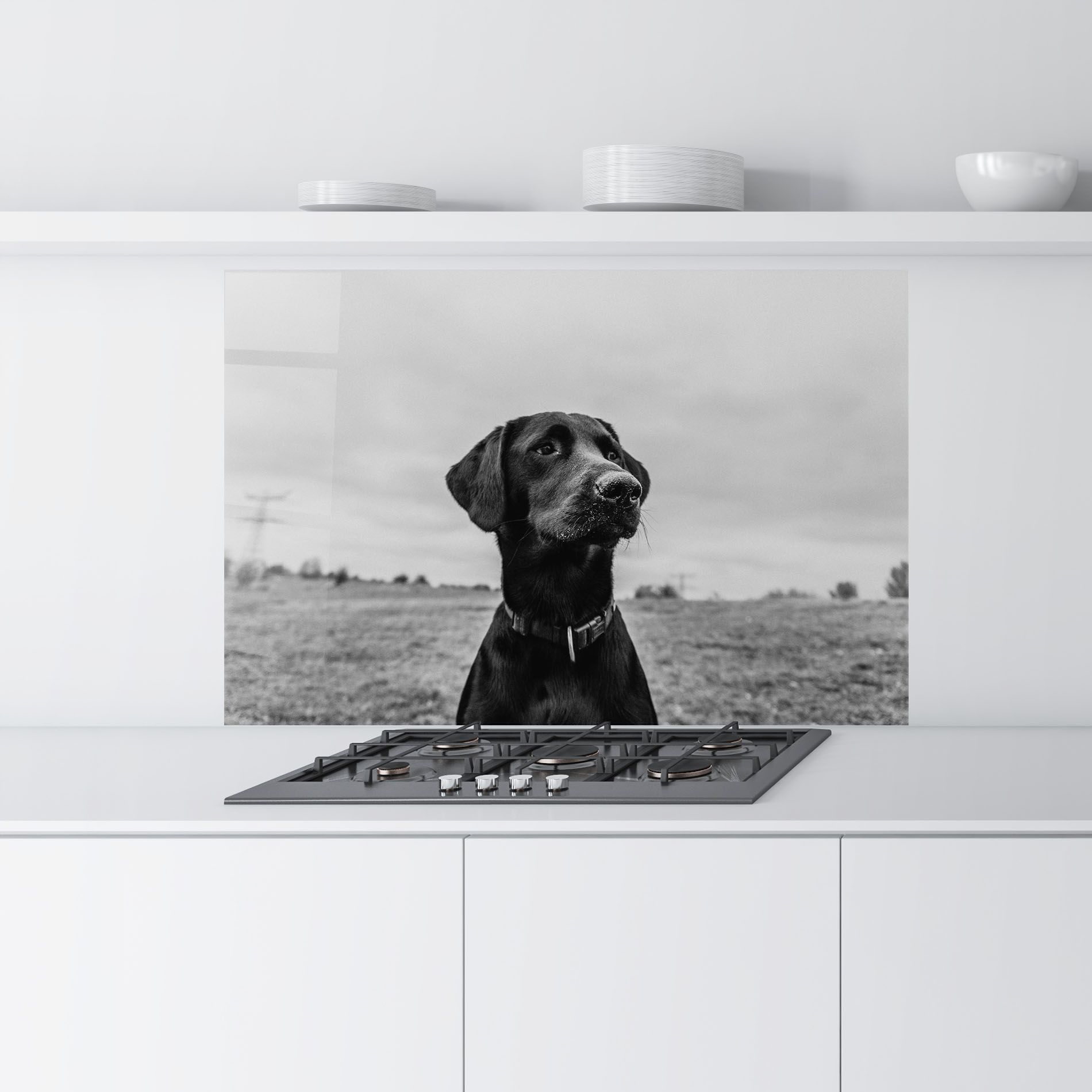 Black Dog mockup 9