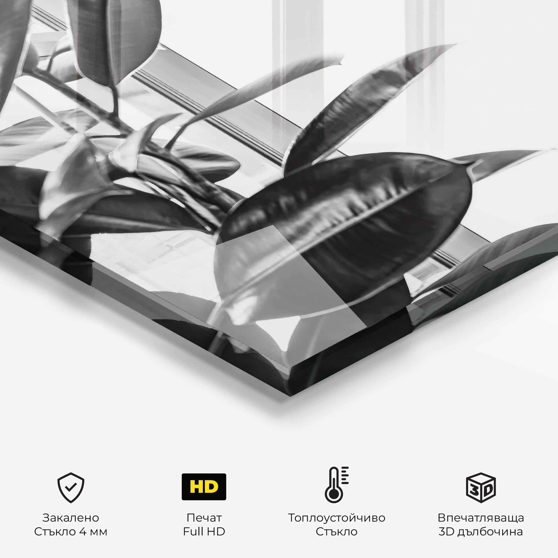 Стъклен панел за кухня Grey Plant mockup 2