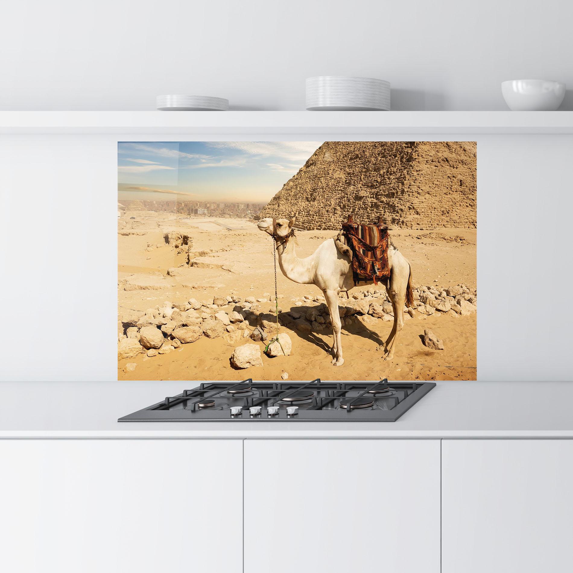 Стъклен панел за кухня Camel Near Ruins mockup 9