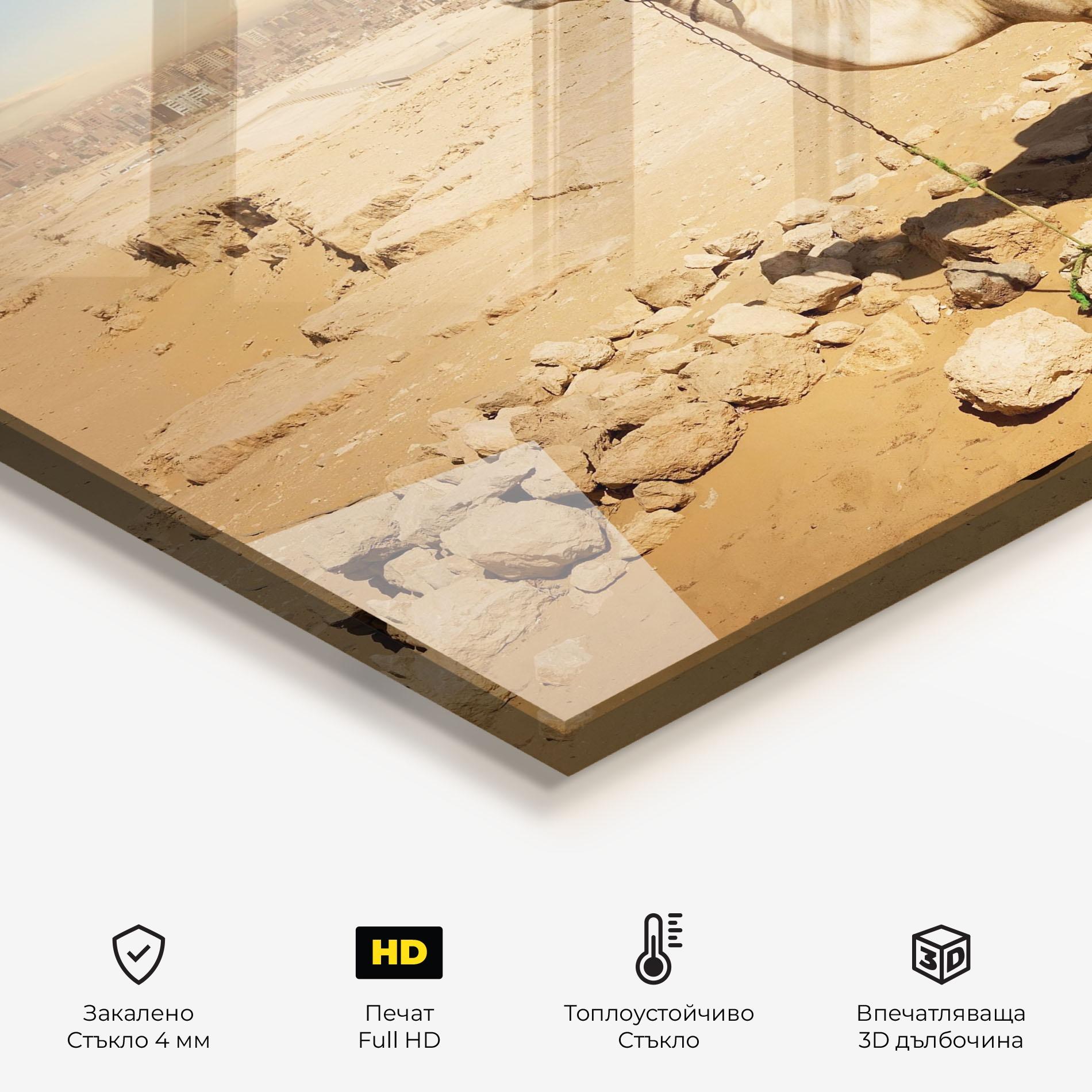 Стъклен панел за кухня Camel Near Ruins mockup 2