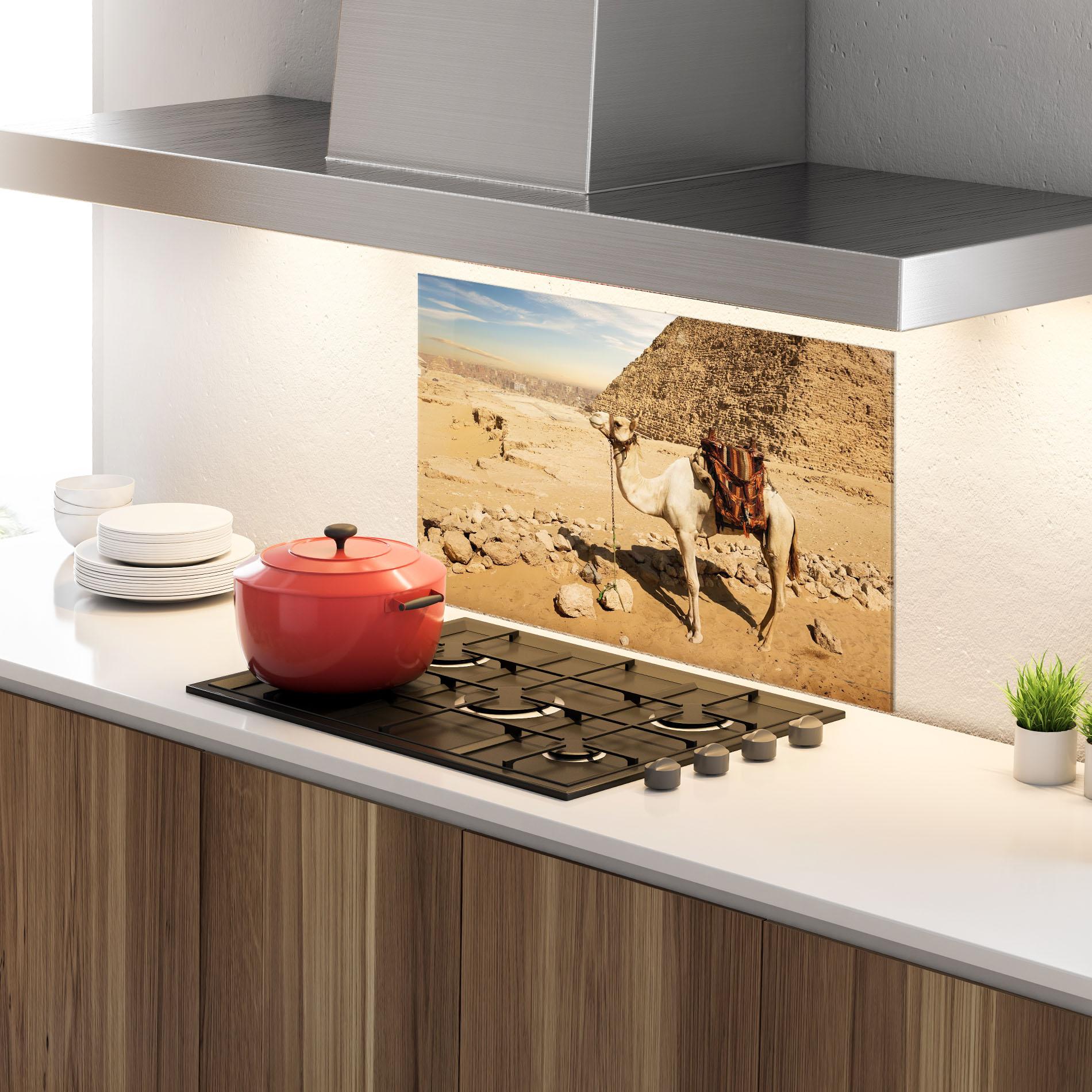 Стъклен панел за кухня Camel Near Ruins mockup 4