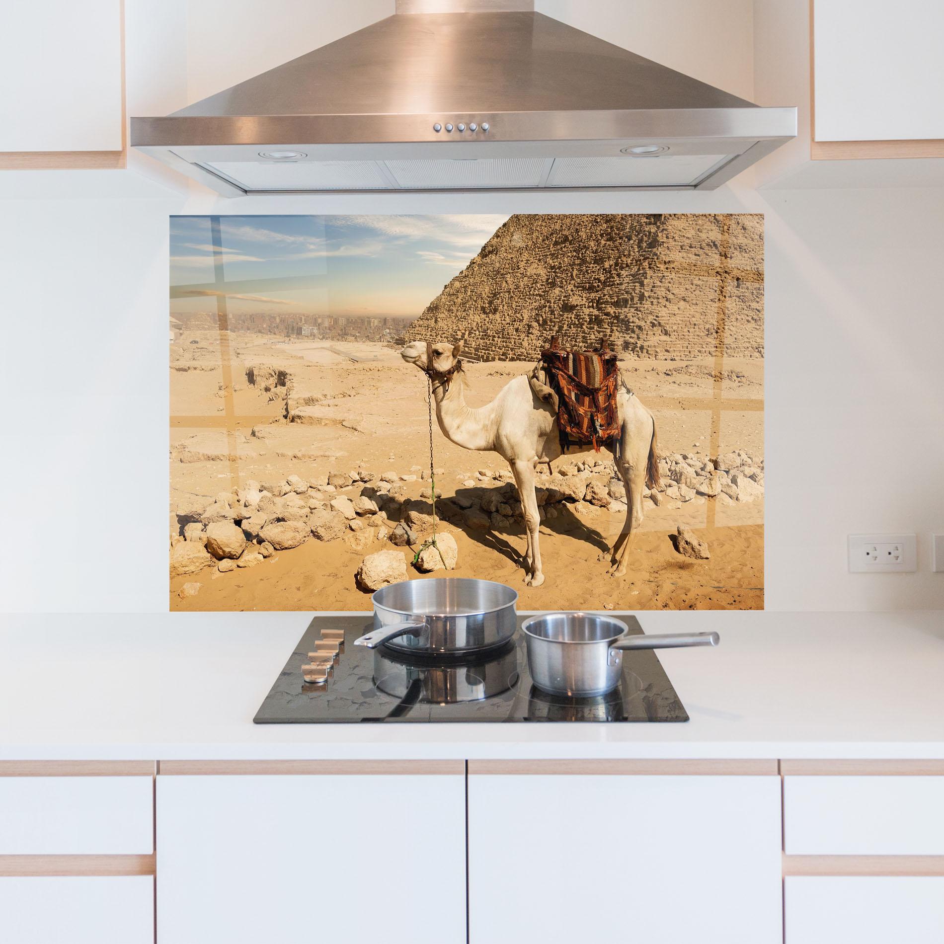 Стъклен панел за кухня Camel Near Ruins mockup 5