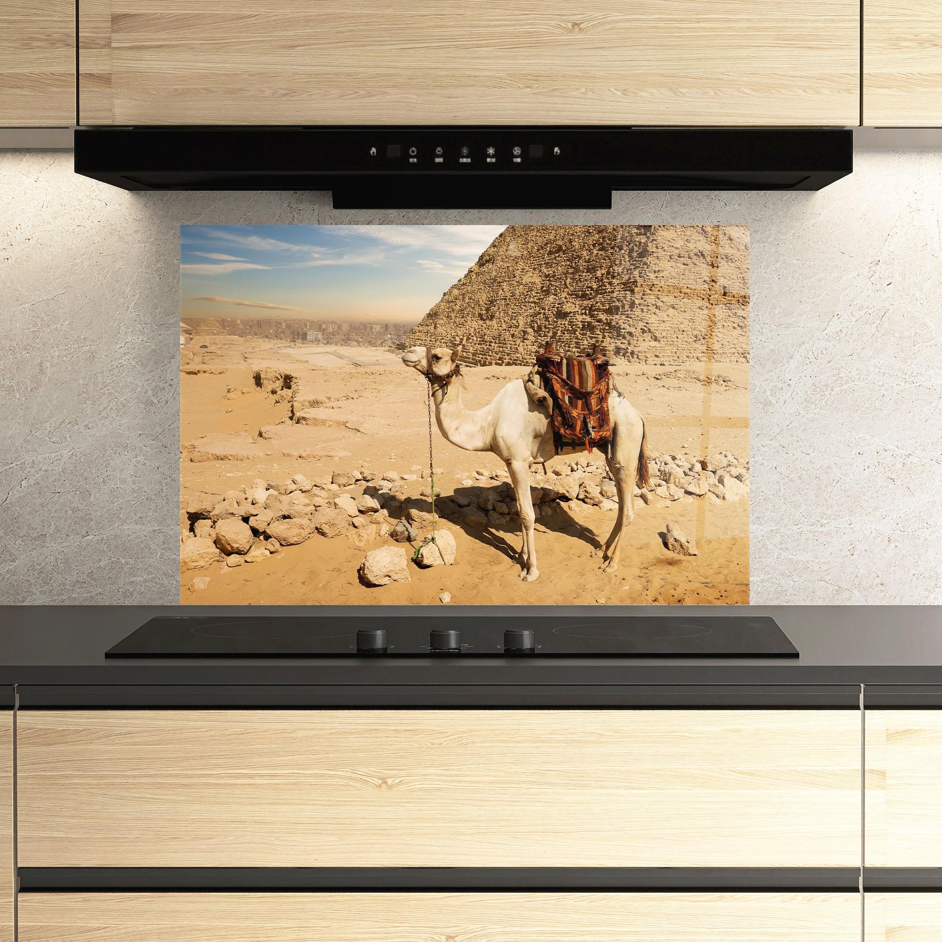 Стъклен панел за кухня Camel Near Ruins mockup 3