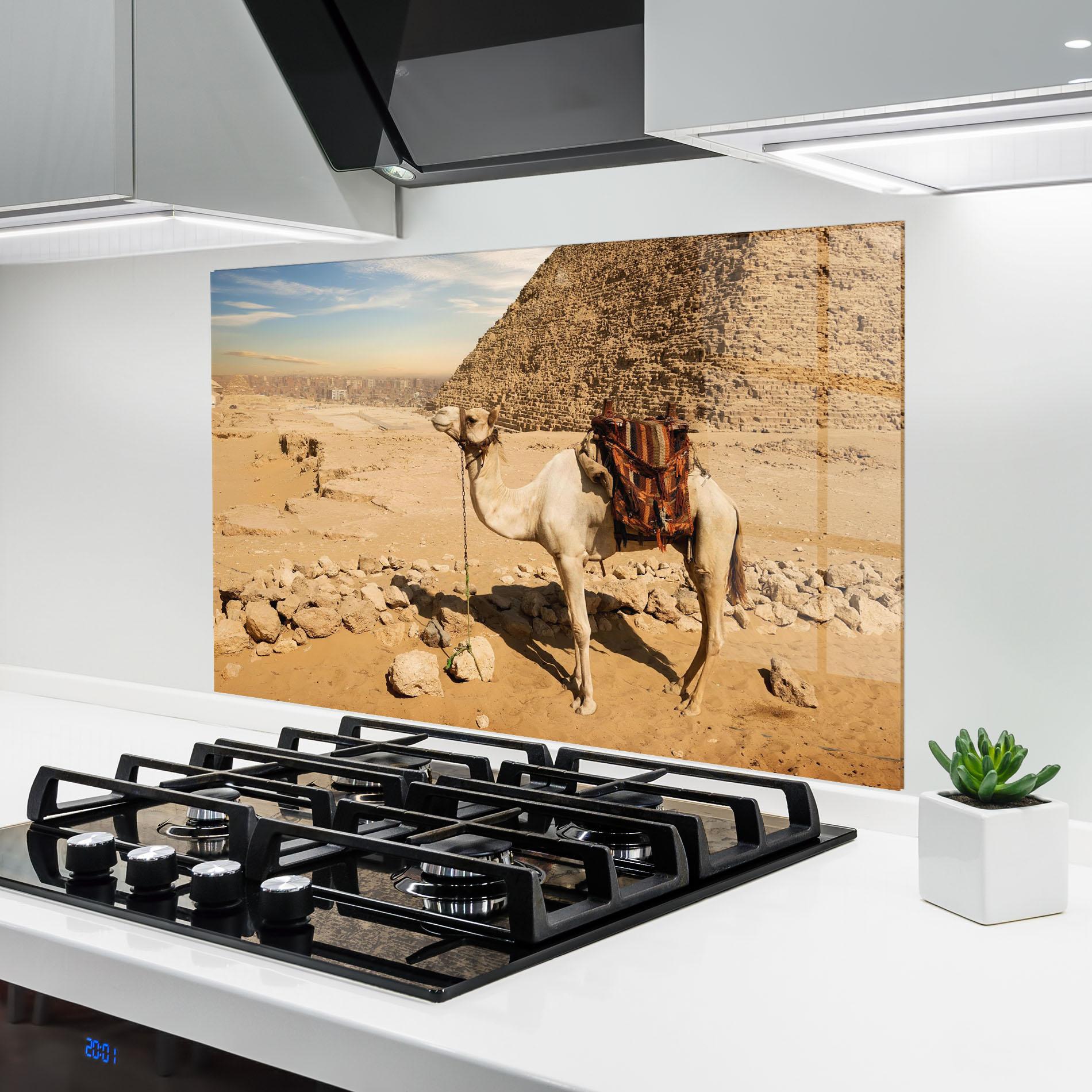 Стъклен панел за кухня Camel Near Ruins mockup 6