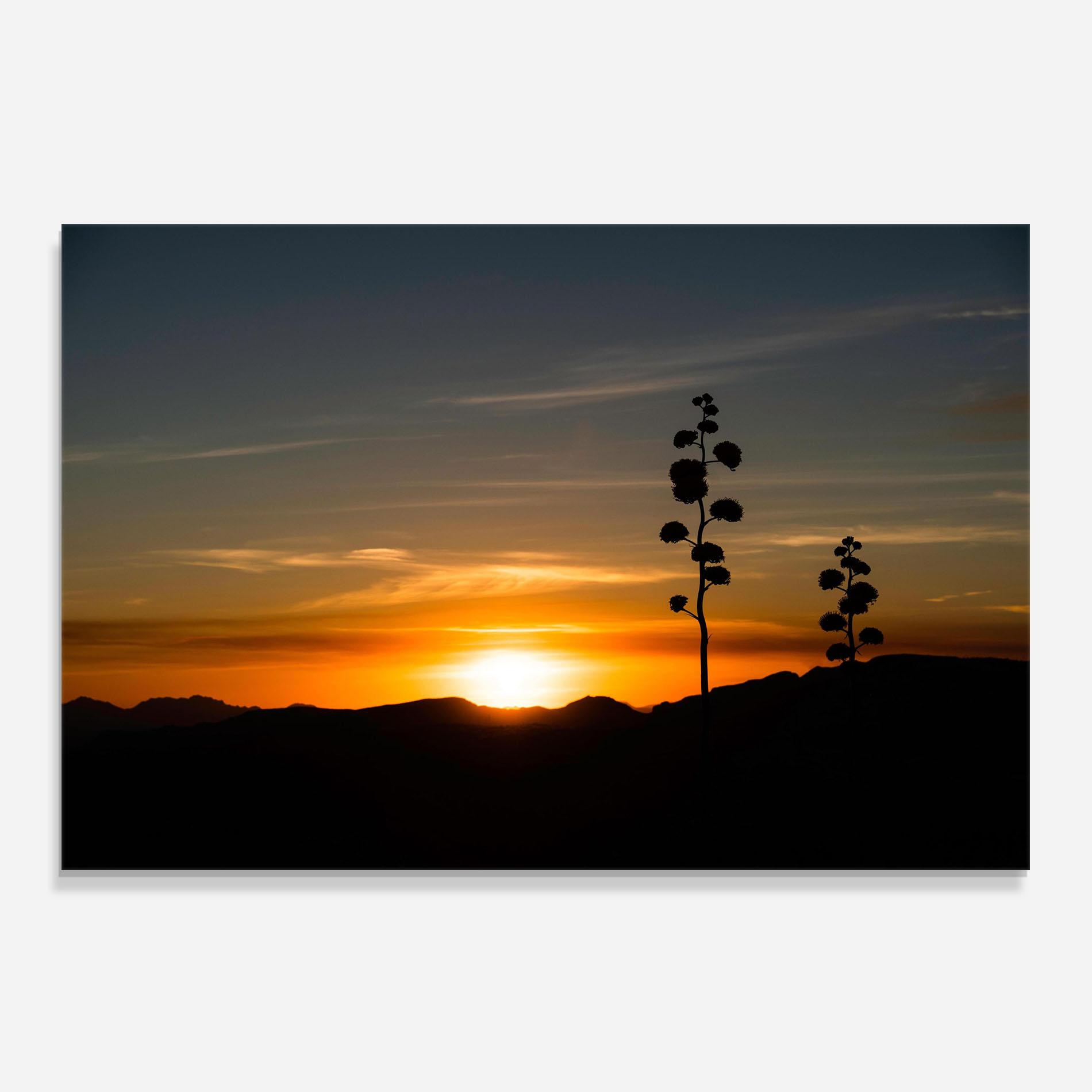 Стъклен панел за кухня Leaves Shilouette Sunset mockup 0