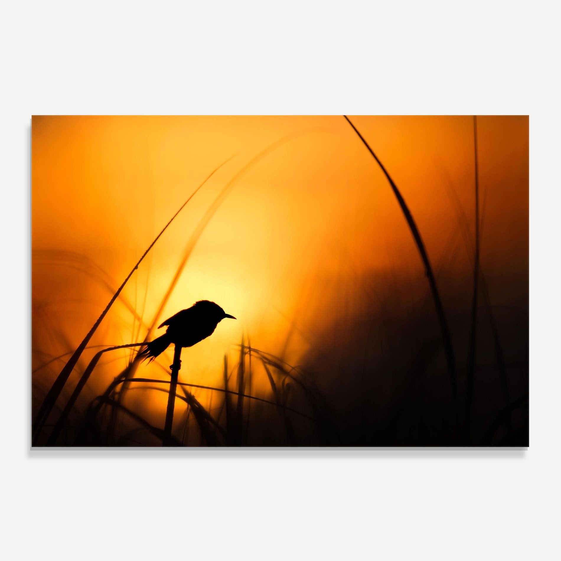 Small Bird Sunset mockup 0