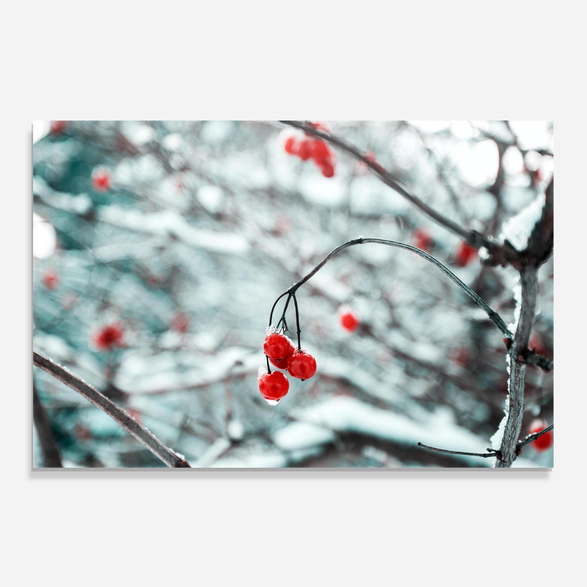 Стъклен панел за кухня Snow Red Fruits mockup 0