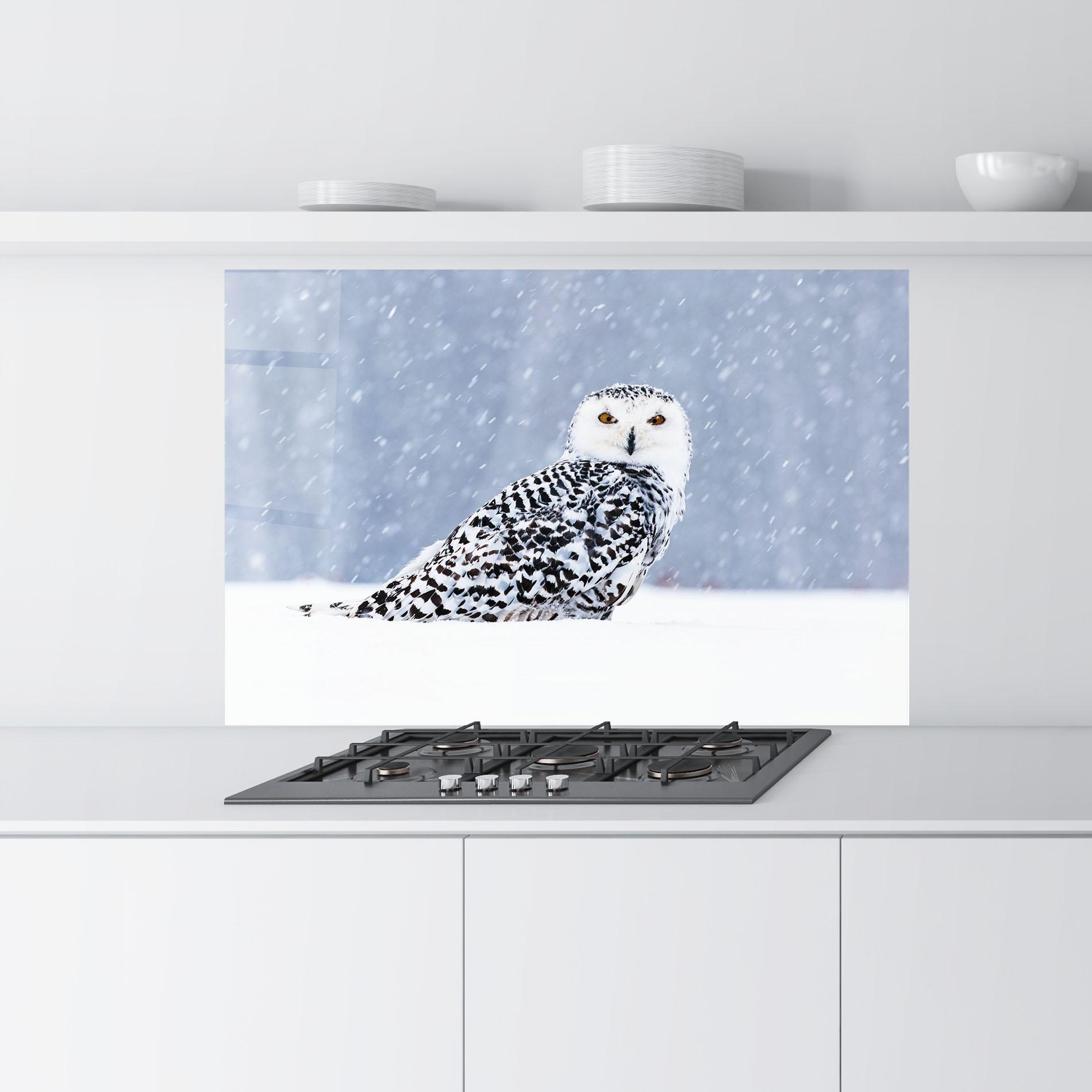 Стъклен панел за кухня Snow Owl mockup 9