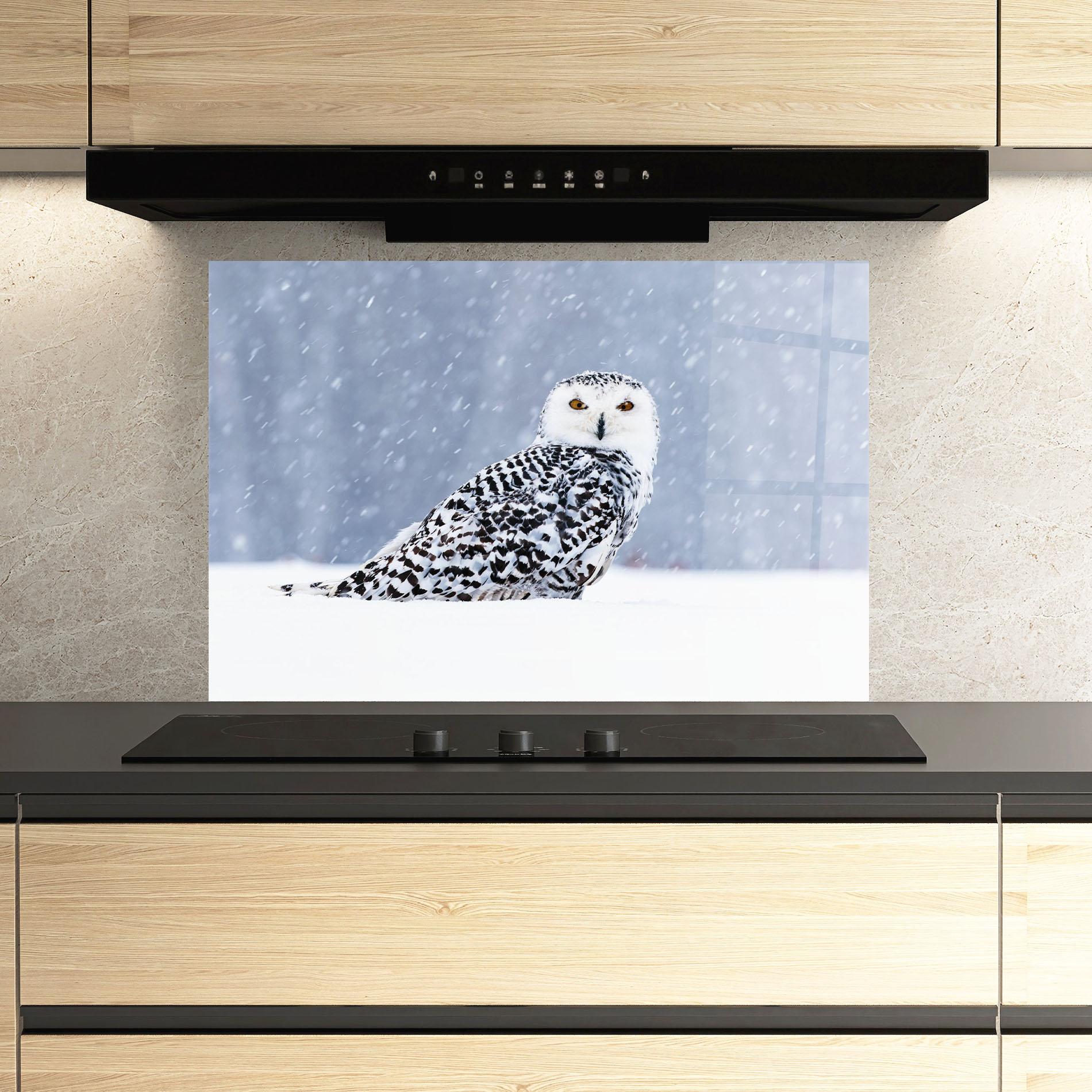 Стъклен панел за кухня Snow Owl mockup 3