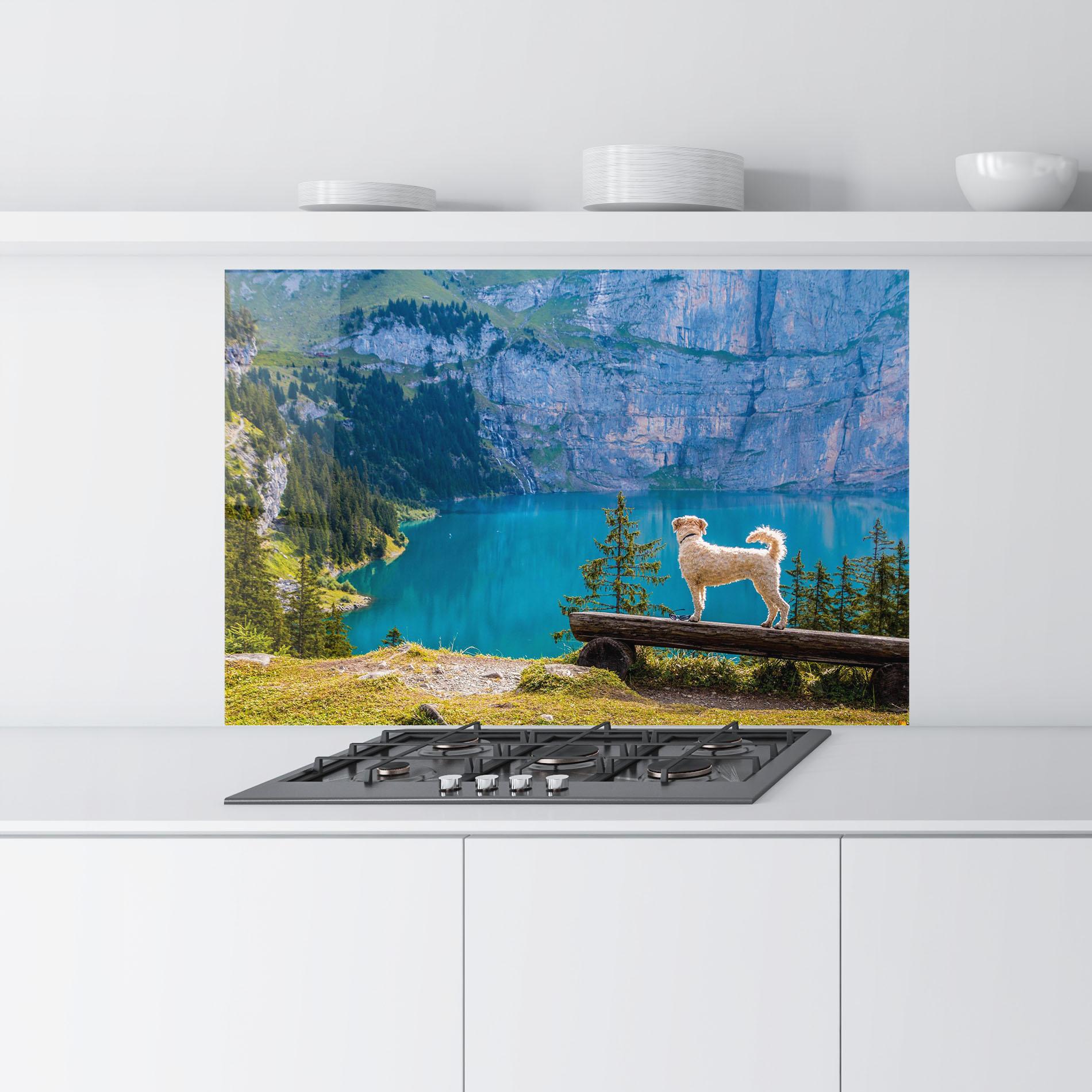 Стъклен панел за кухня Dog mockup 9