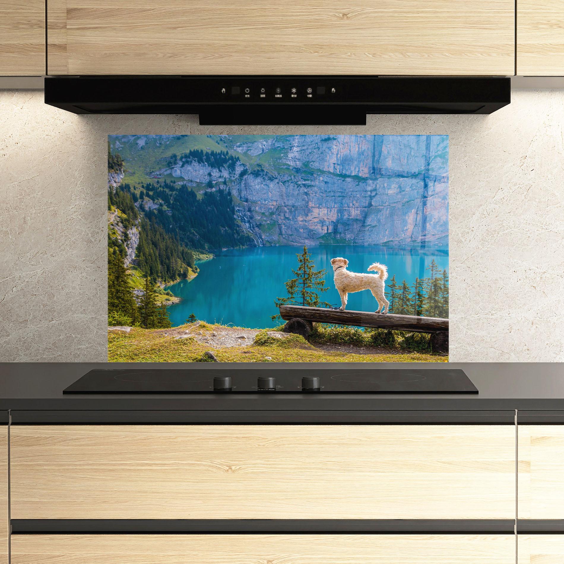 Стъклен панел за кухня Dog mockup 3