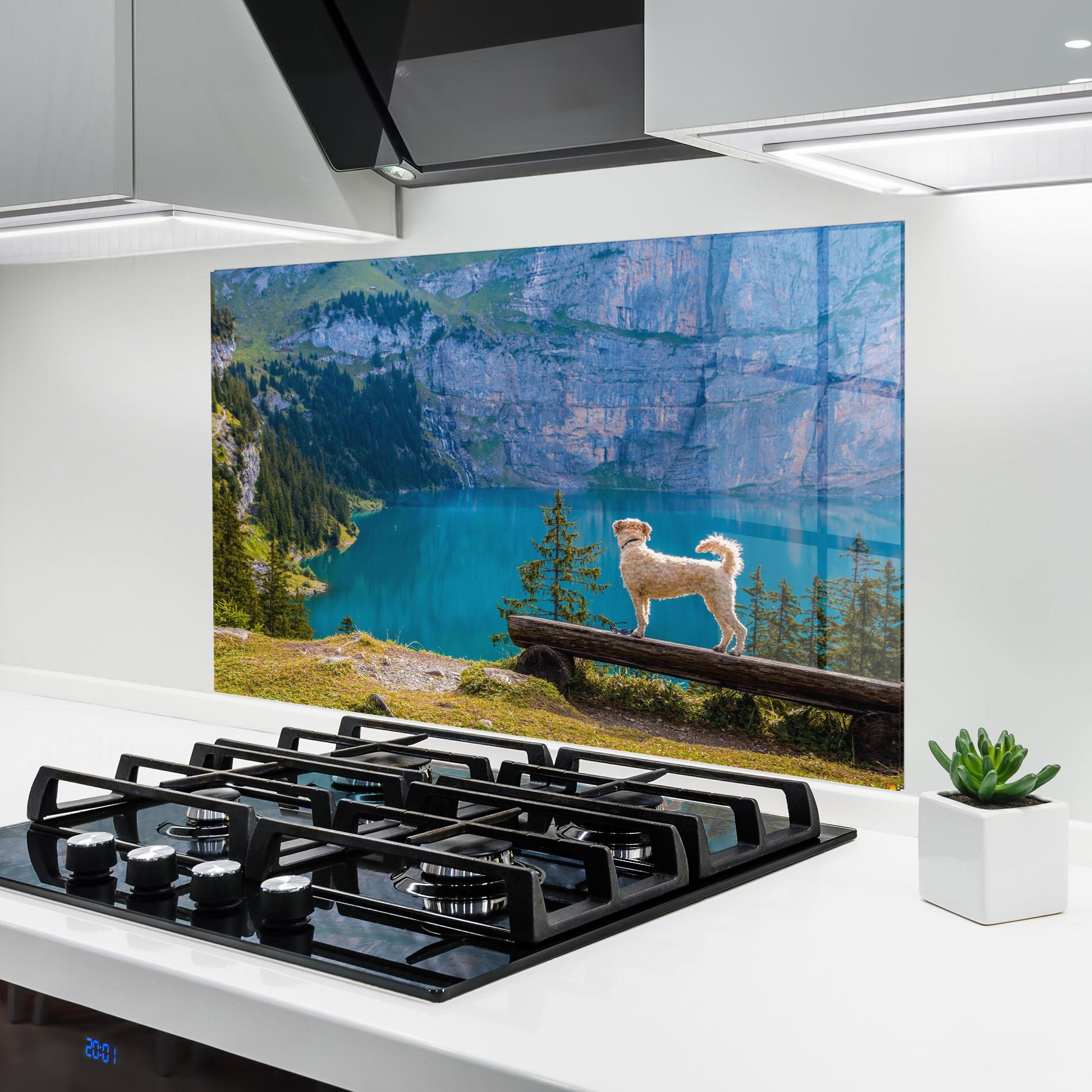 Стъклен панел за кухня Dog mockup 6