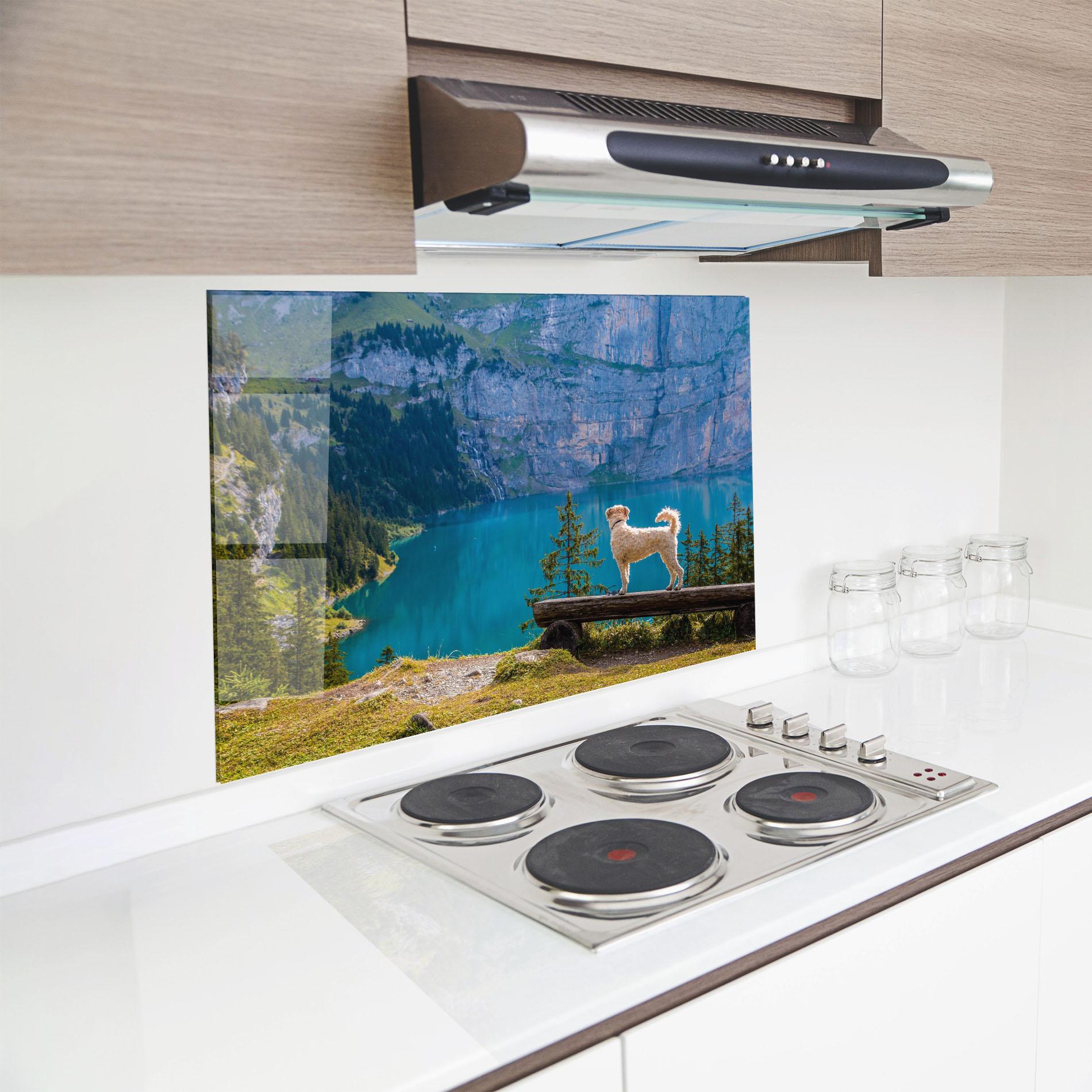 Стъклен панел за кухня Dog mockup 8