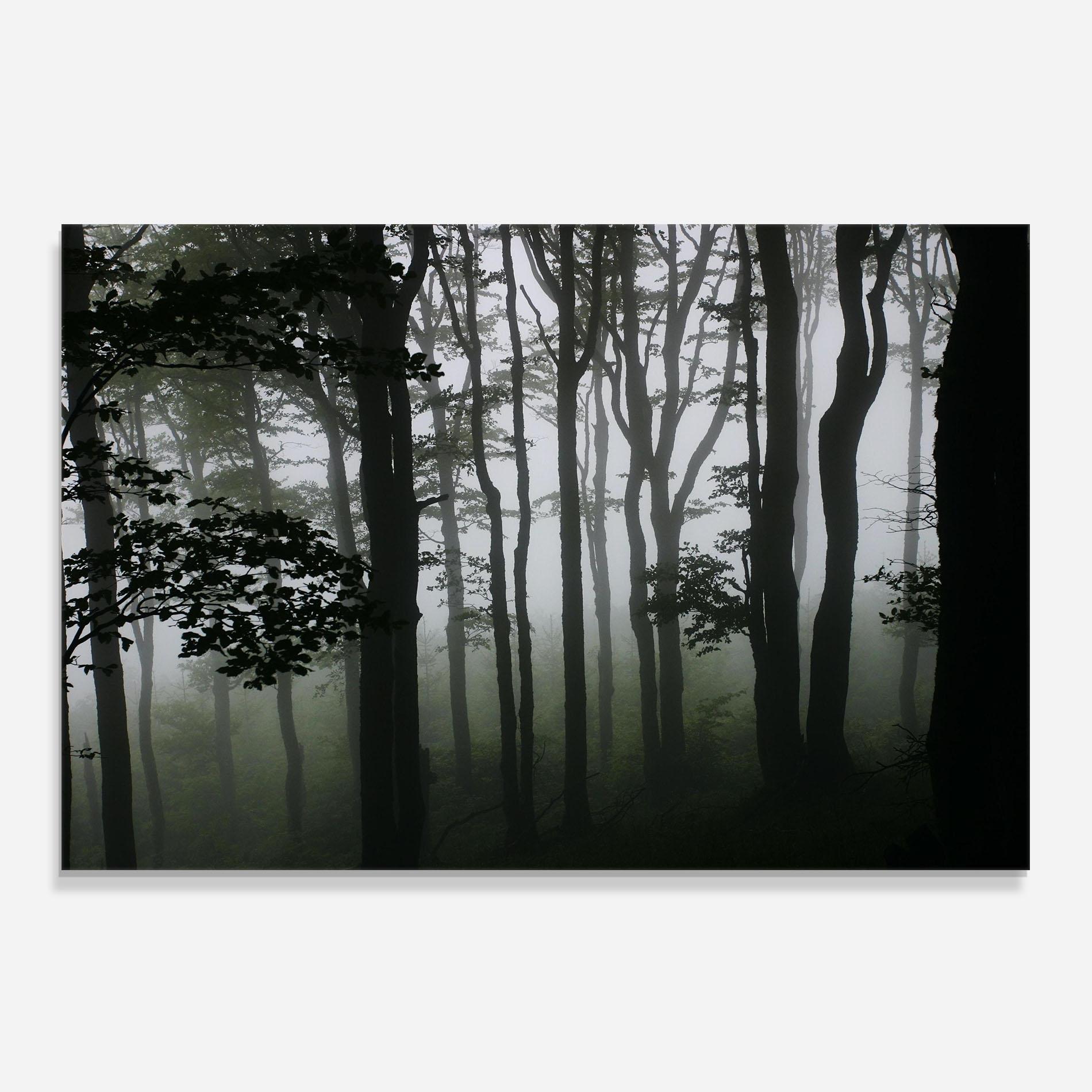 Стъклен панел за кухня Foggy Black Tree mockup 0