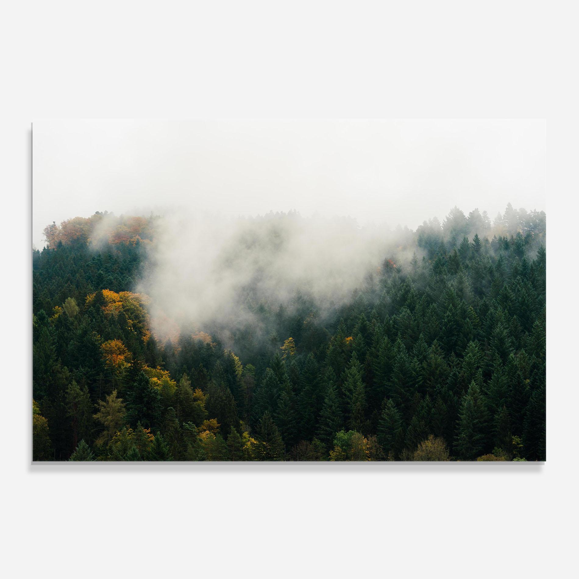 Стъклен панел за кухня Foggy Tree Forest mockup 0