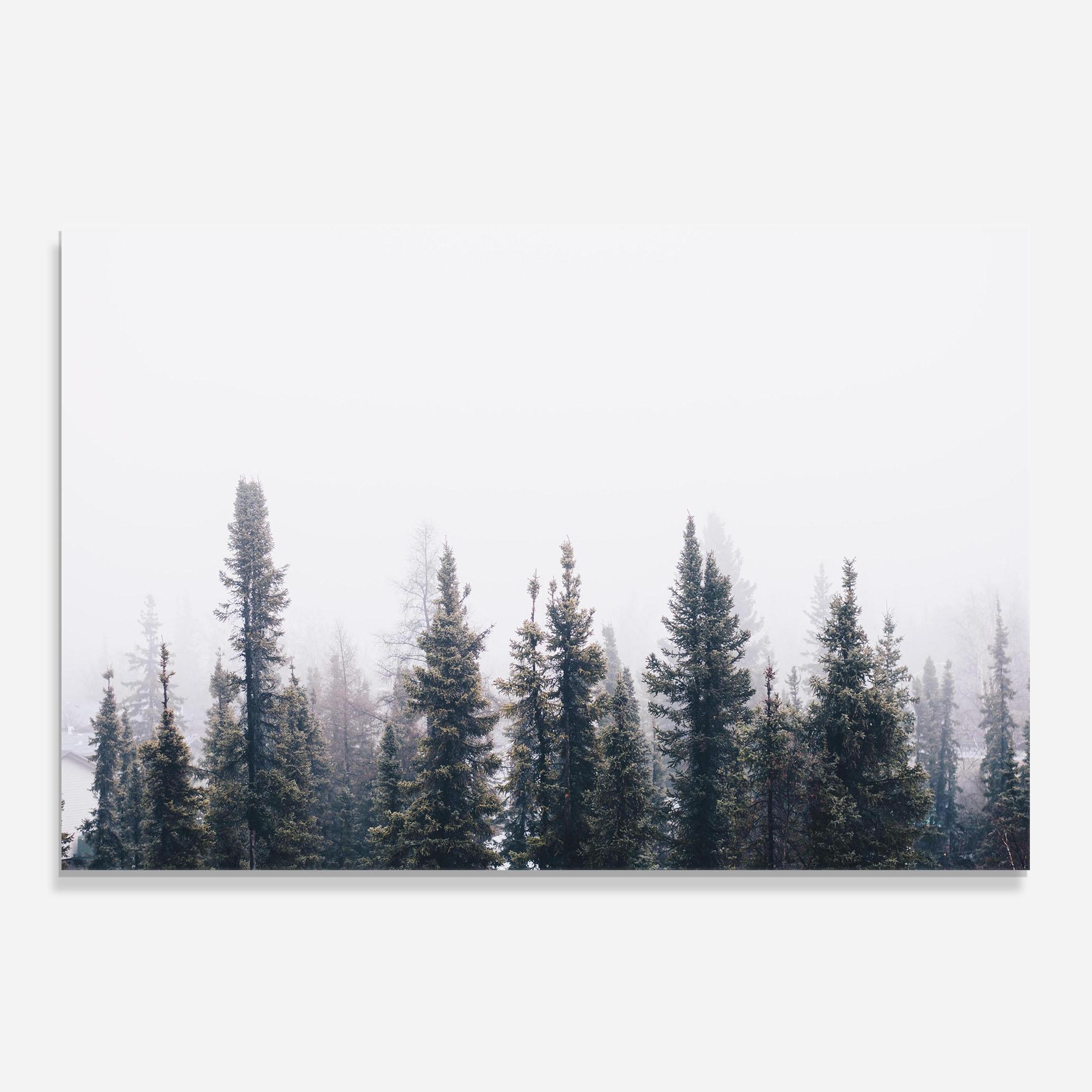 Стъклен панел за кухня Grey Foggy Trees mockup 0