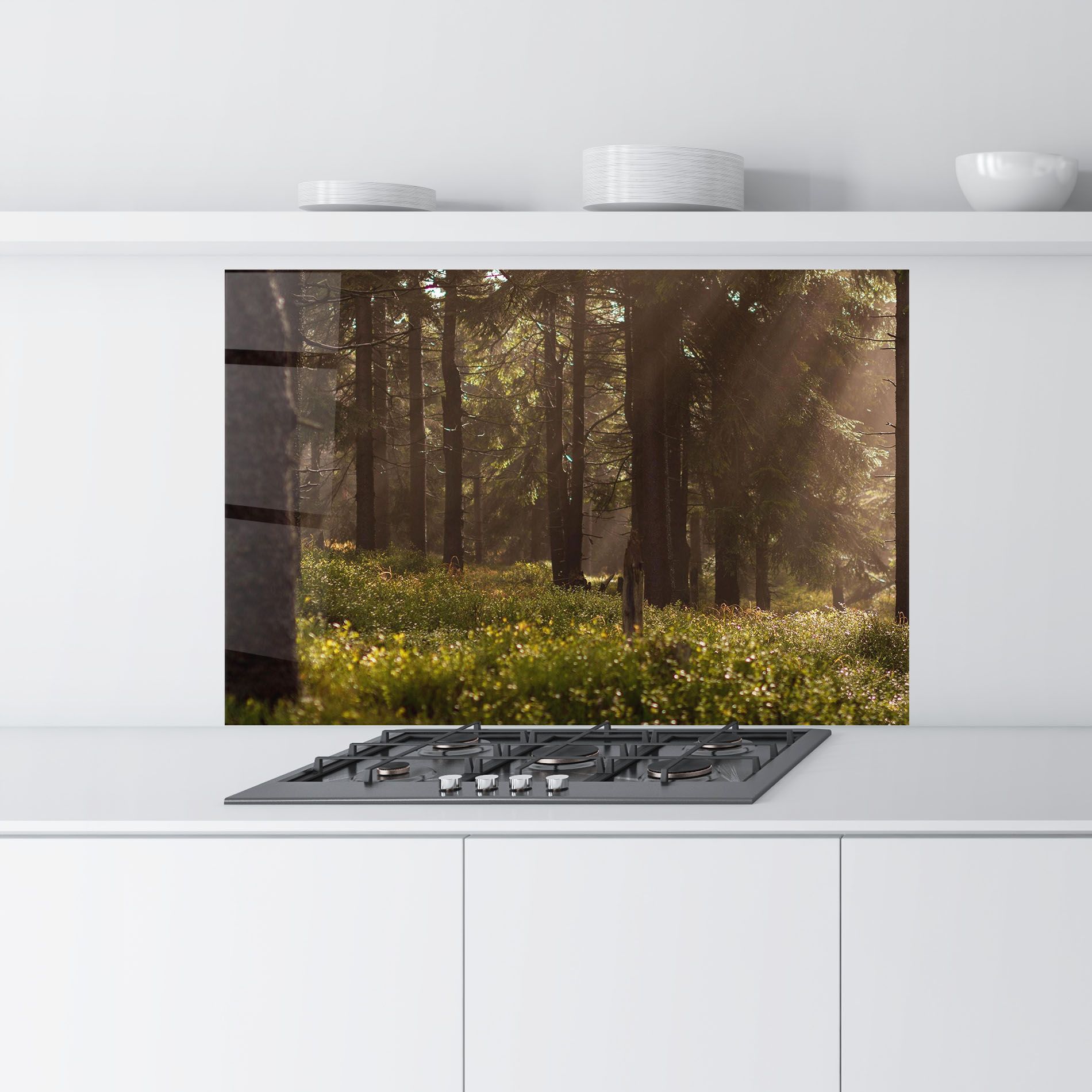 Daylight Forest mockup 9