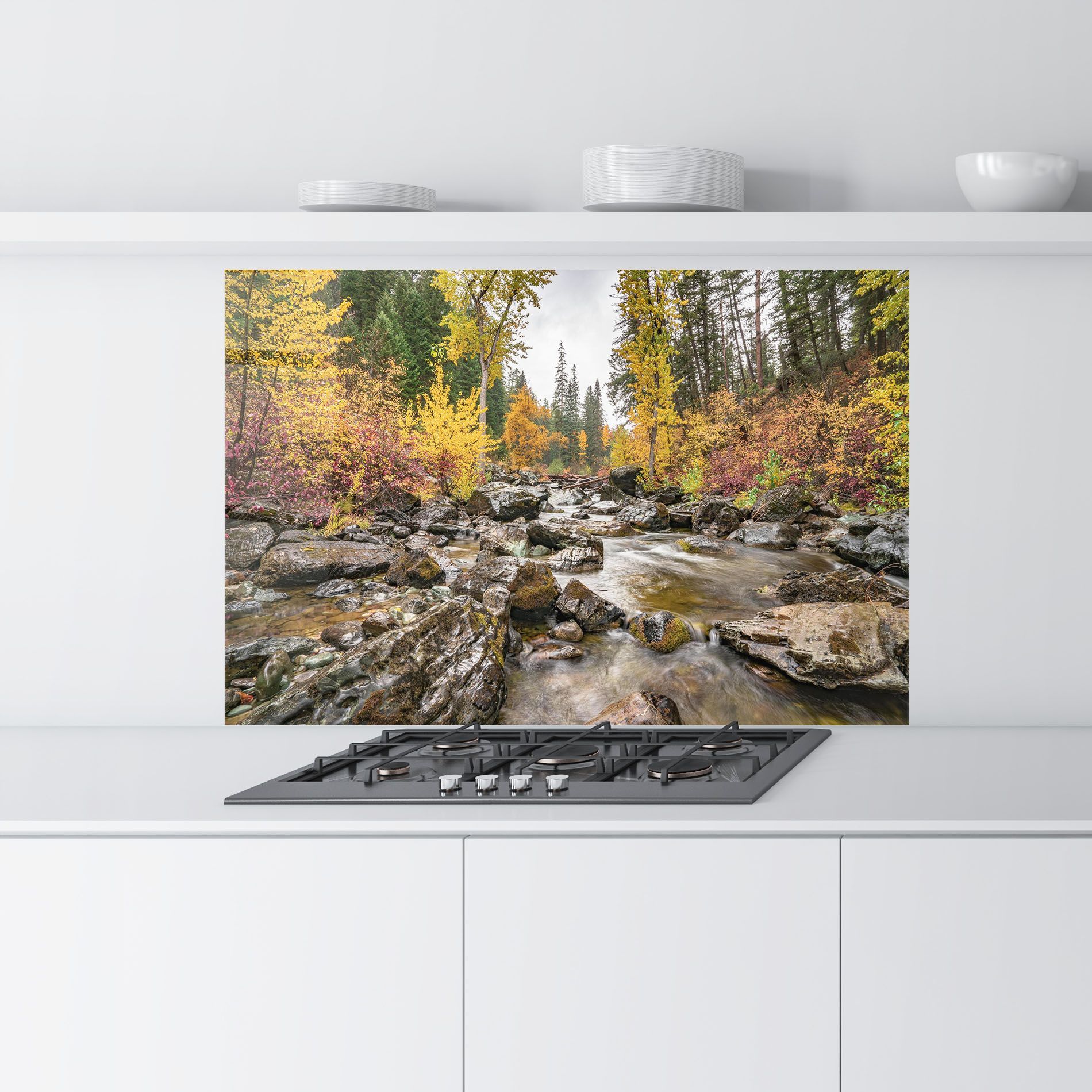 Forest Lake Rocks mockup 9