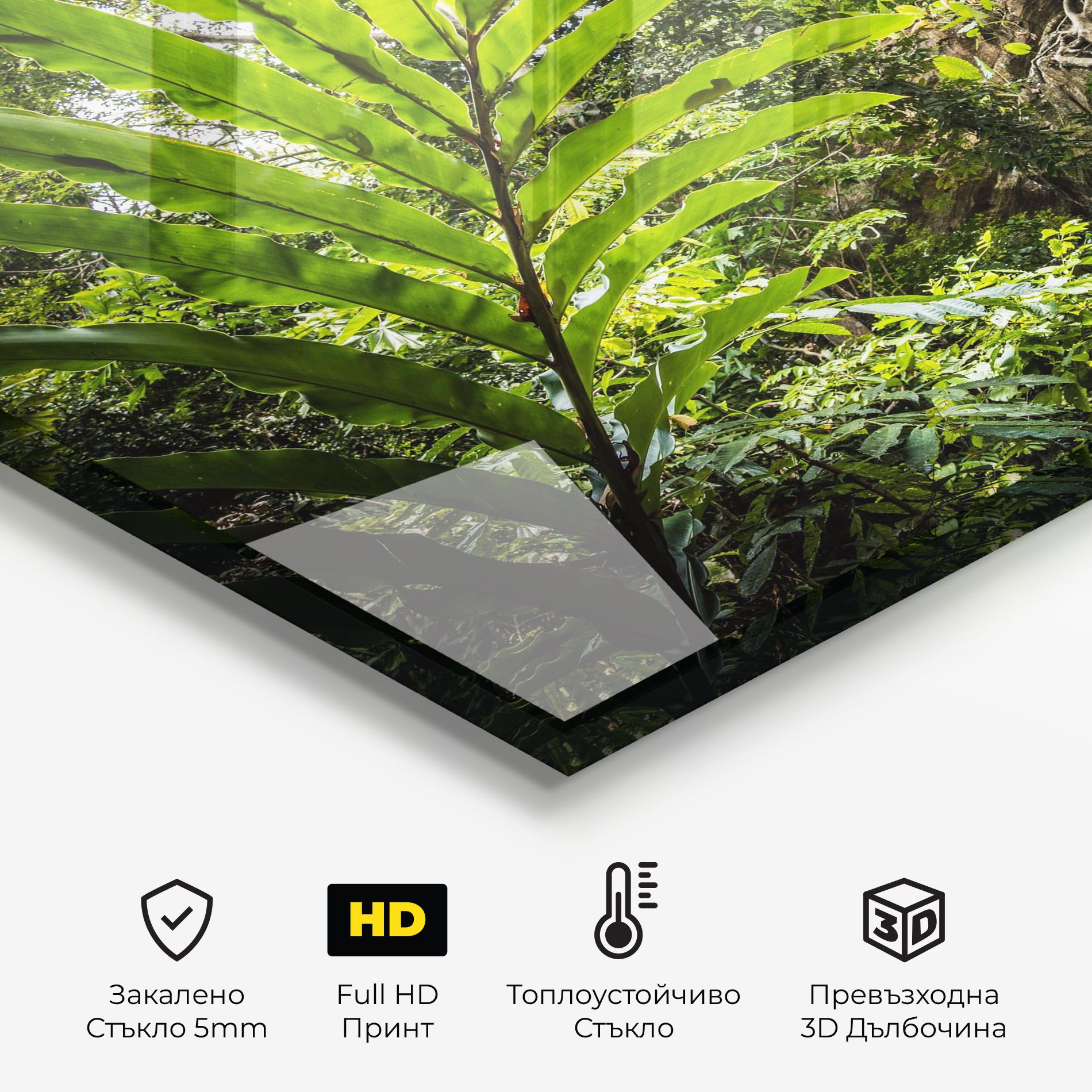 Big Leaf Forest mockup 2