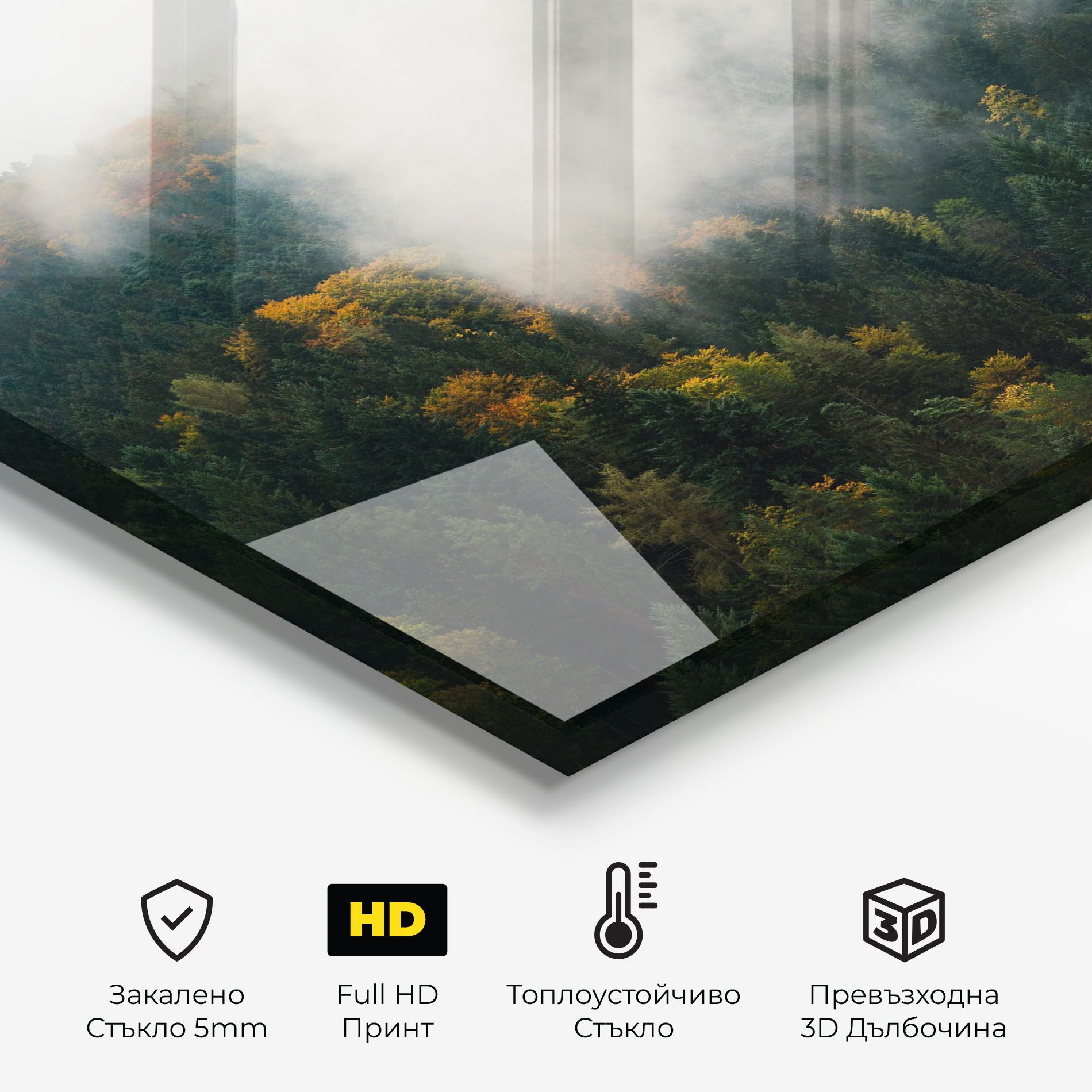 Foggy Tree Forest mockup 2