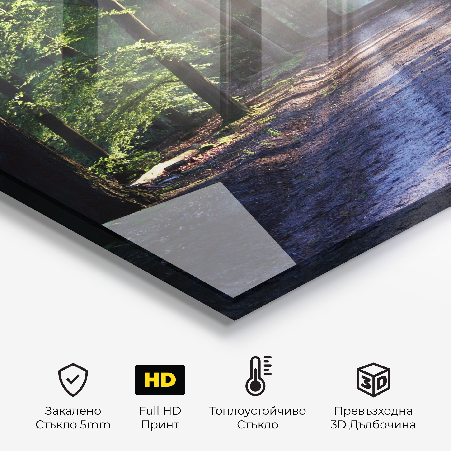 Forest Road mockup 2