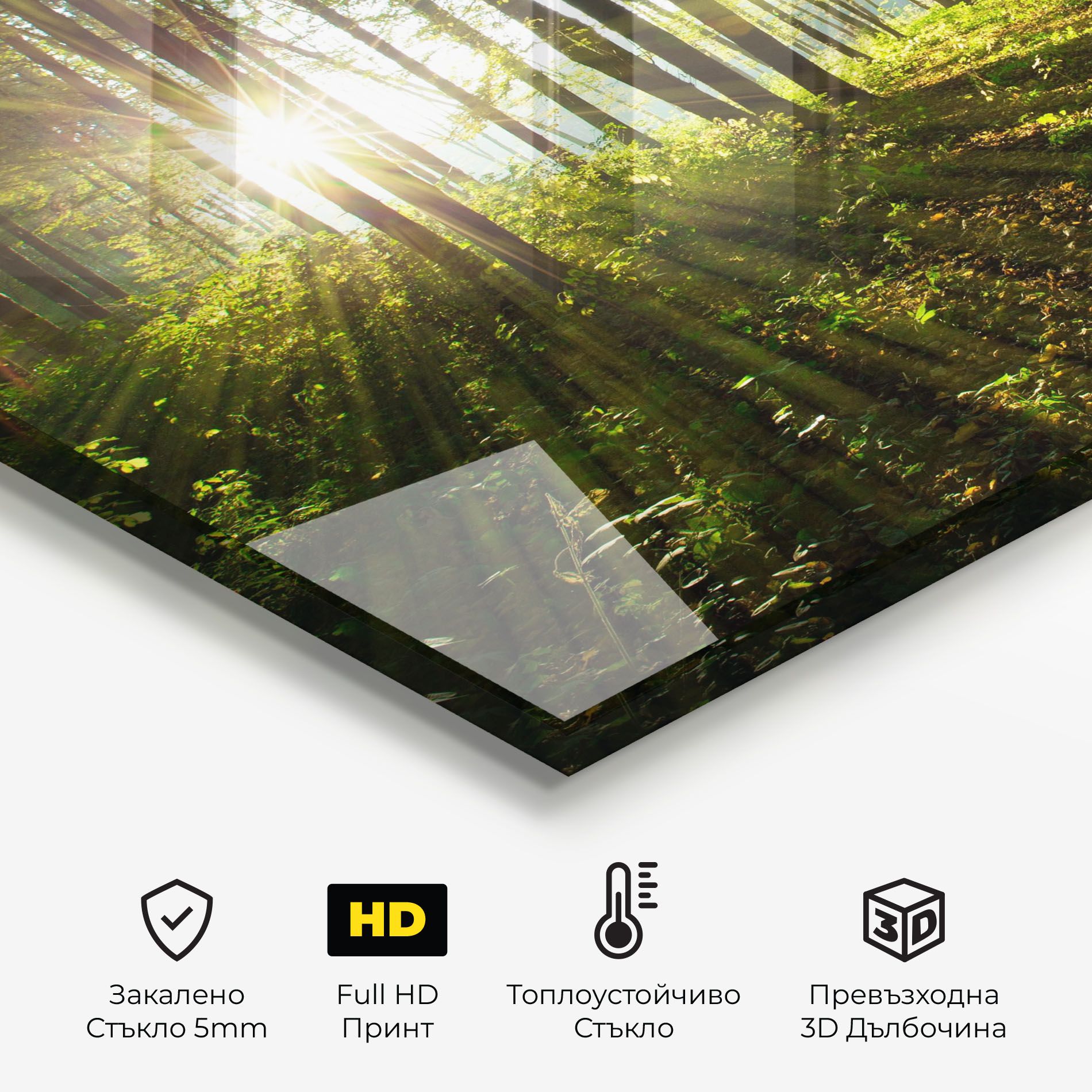 Green Light Forest mockup 2