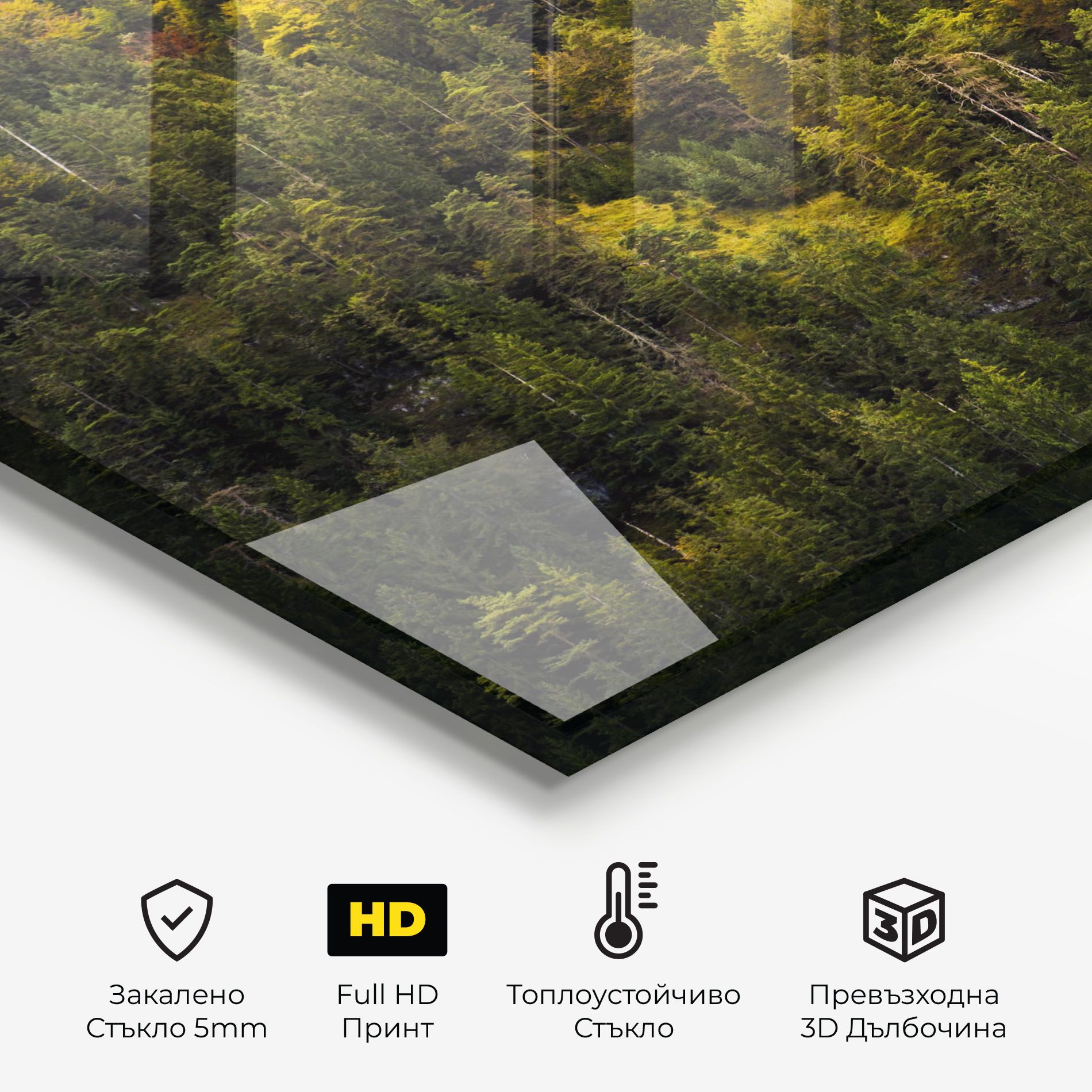 Green Shade Tree mockup 2