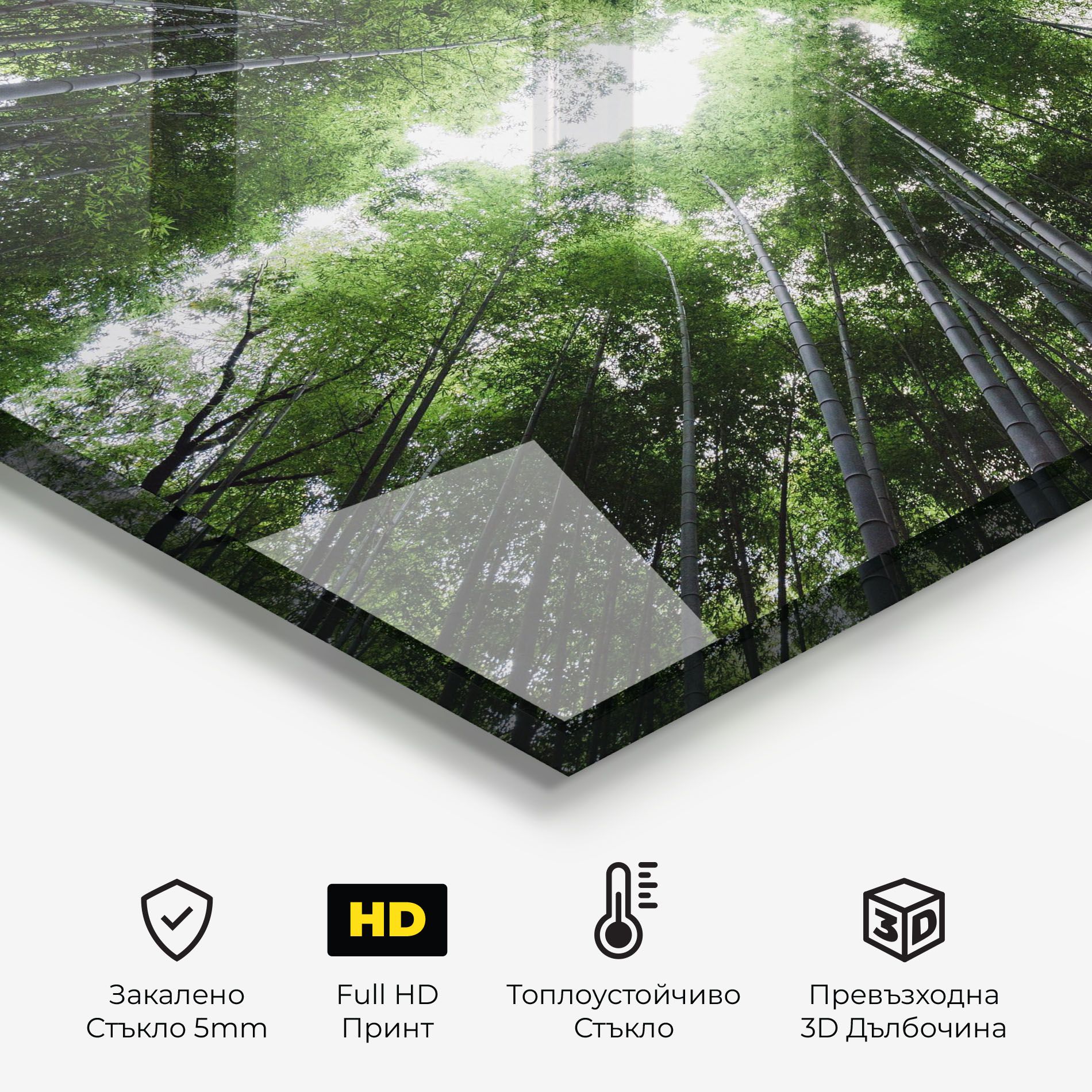 Green Trees Forest mockup 2