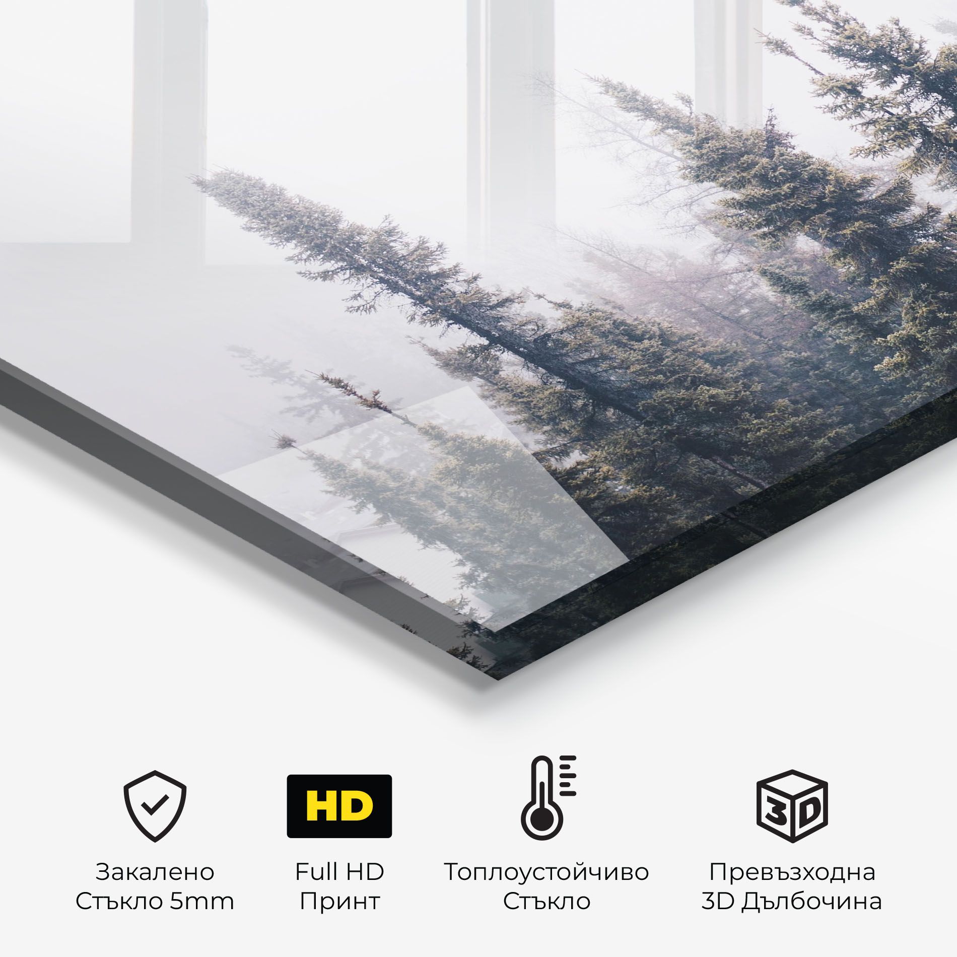 Grey Foggy Trees mockup 2