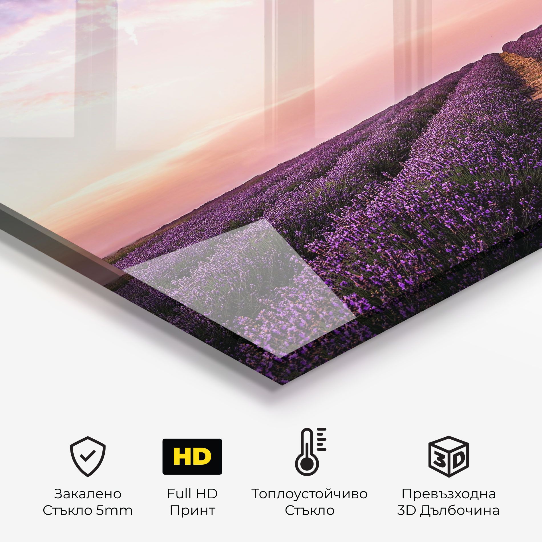 Lavender Field mockup 2