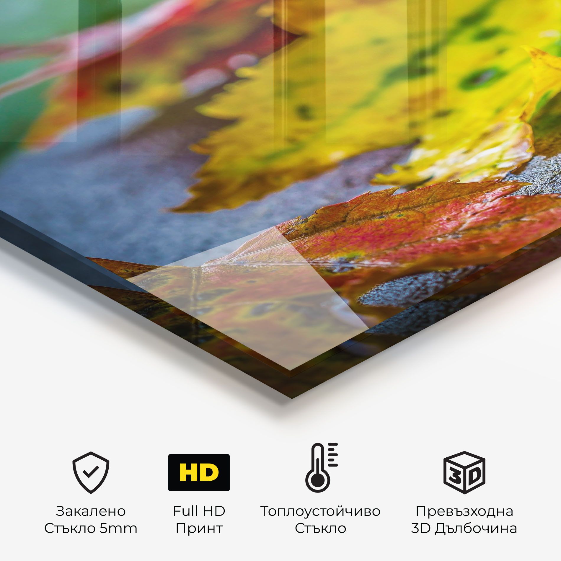 Leaf Color Forest mockup 2